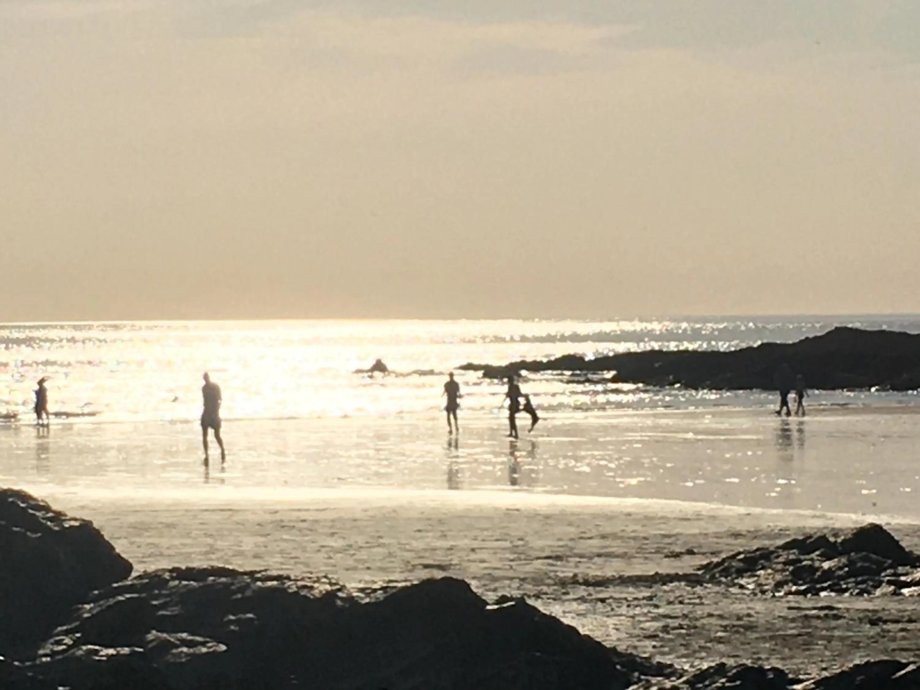 Natural landscape in Brookfields