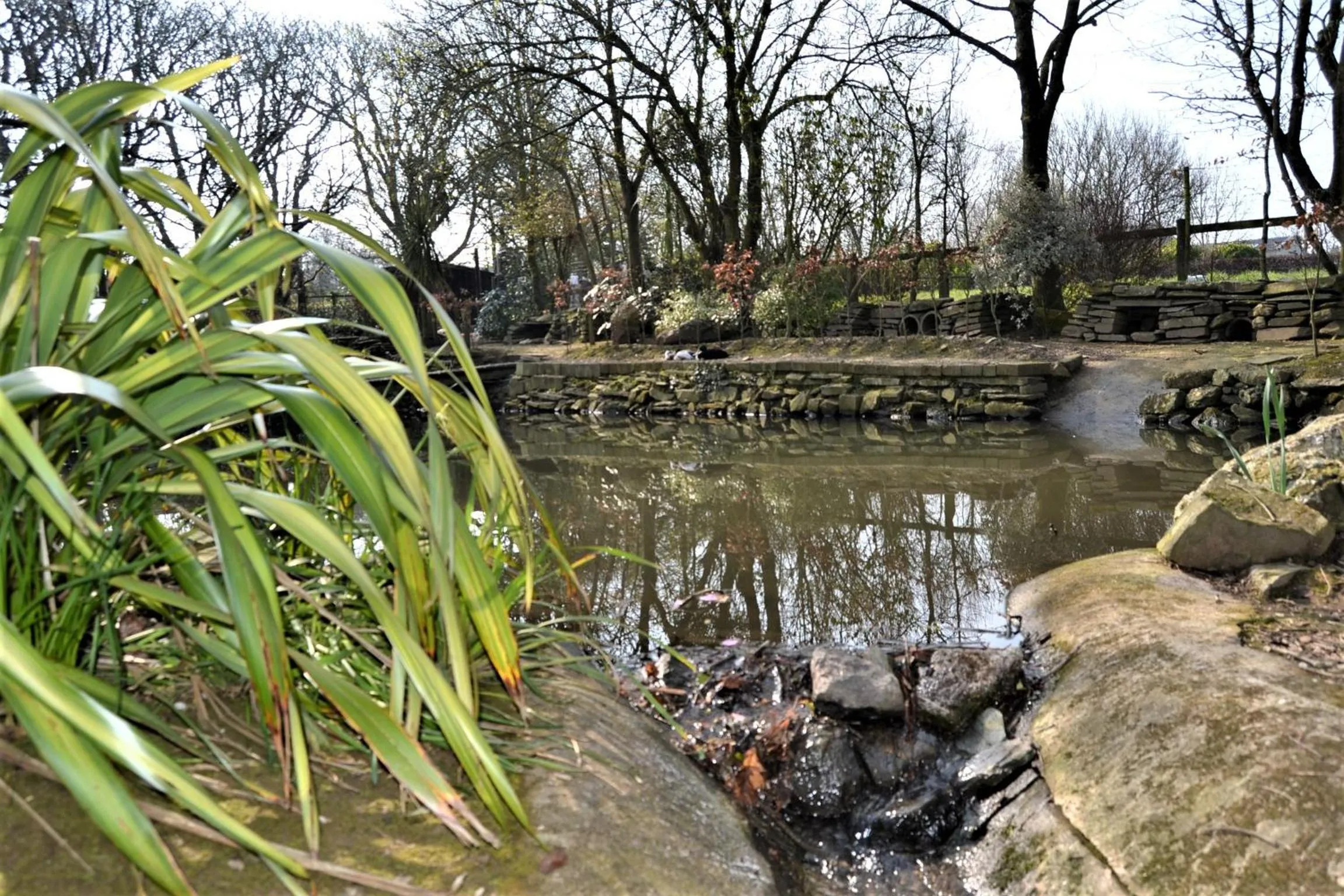 Garden in Brookfields