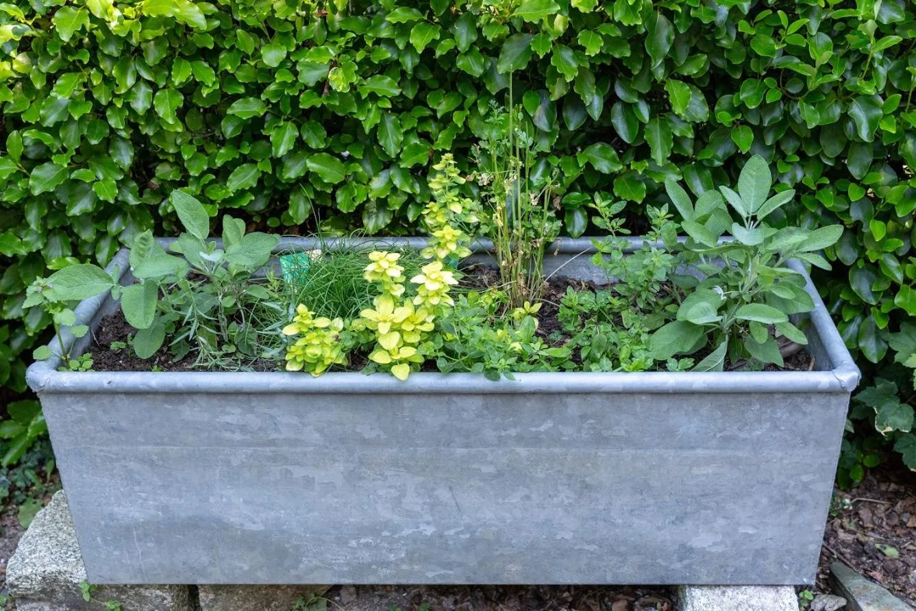 Balcony/Terrace in Brookfields