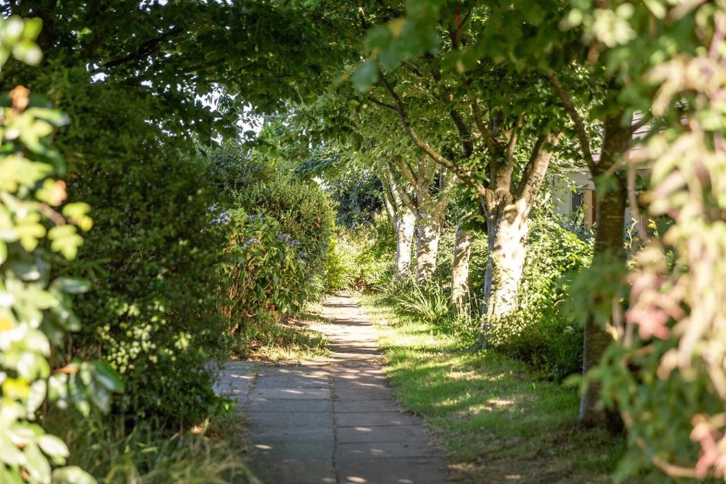 Natural landscape in Brookfields