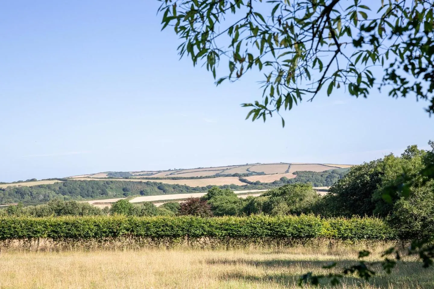 View (from property/room) in Brookfields