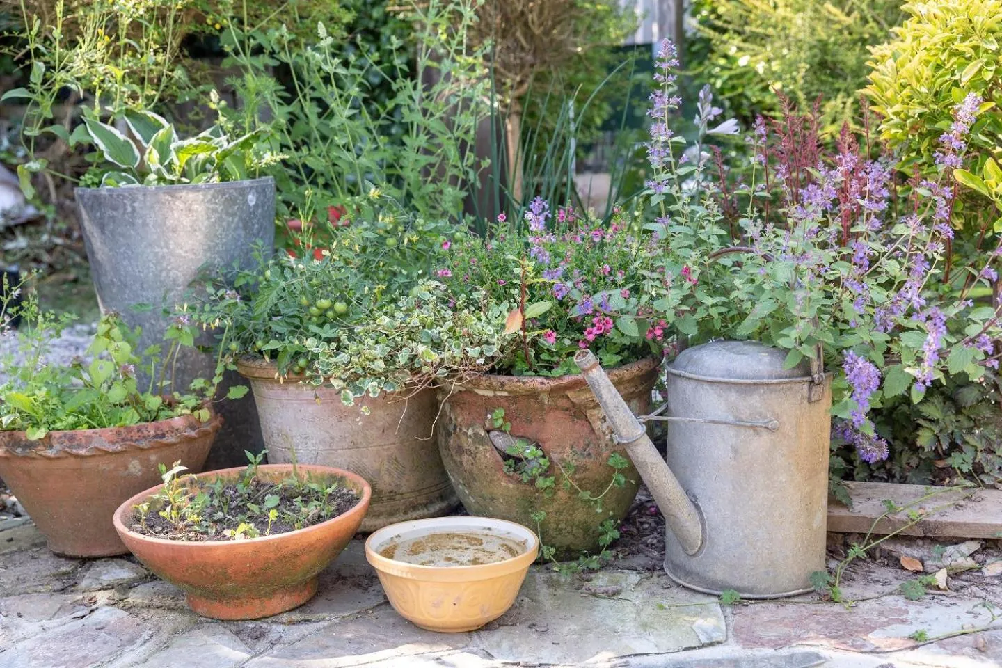 Garden in Brookfields