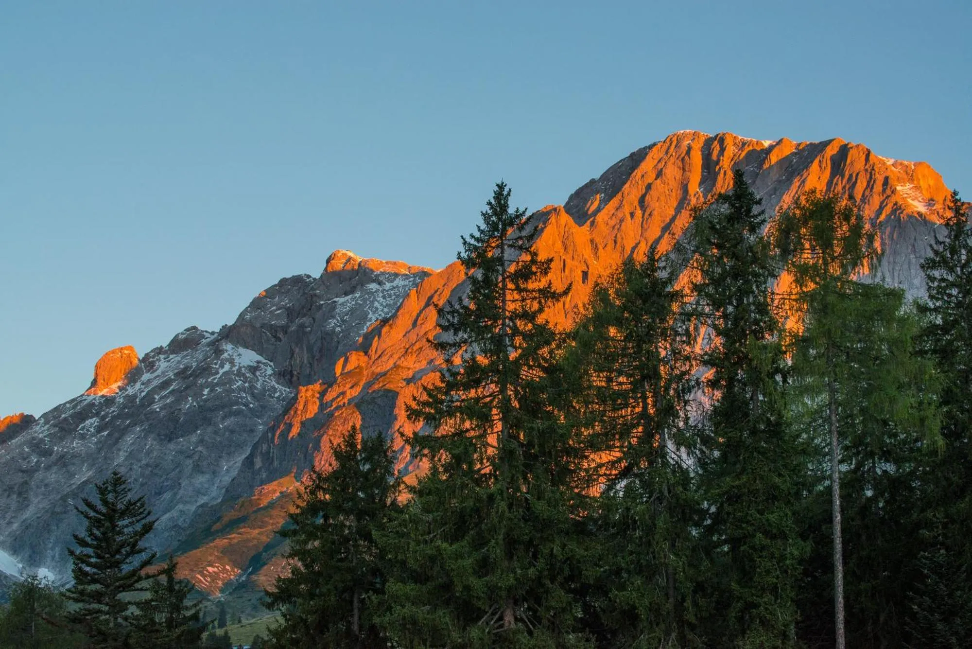 Area and facilities in Hotel Bergheimat