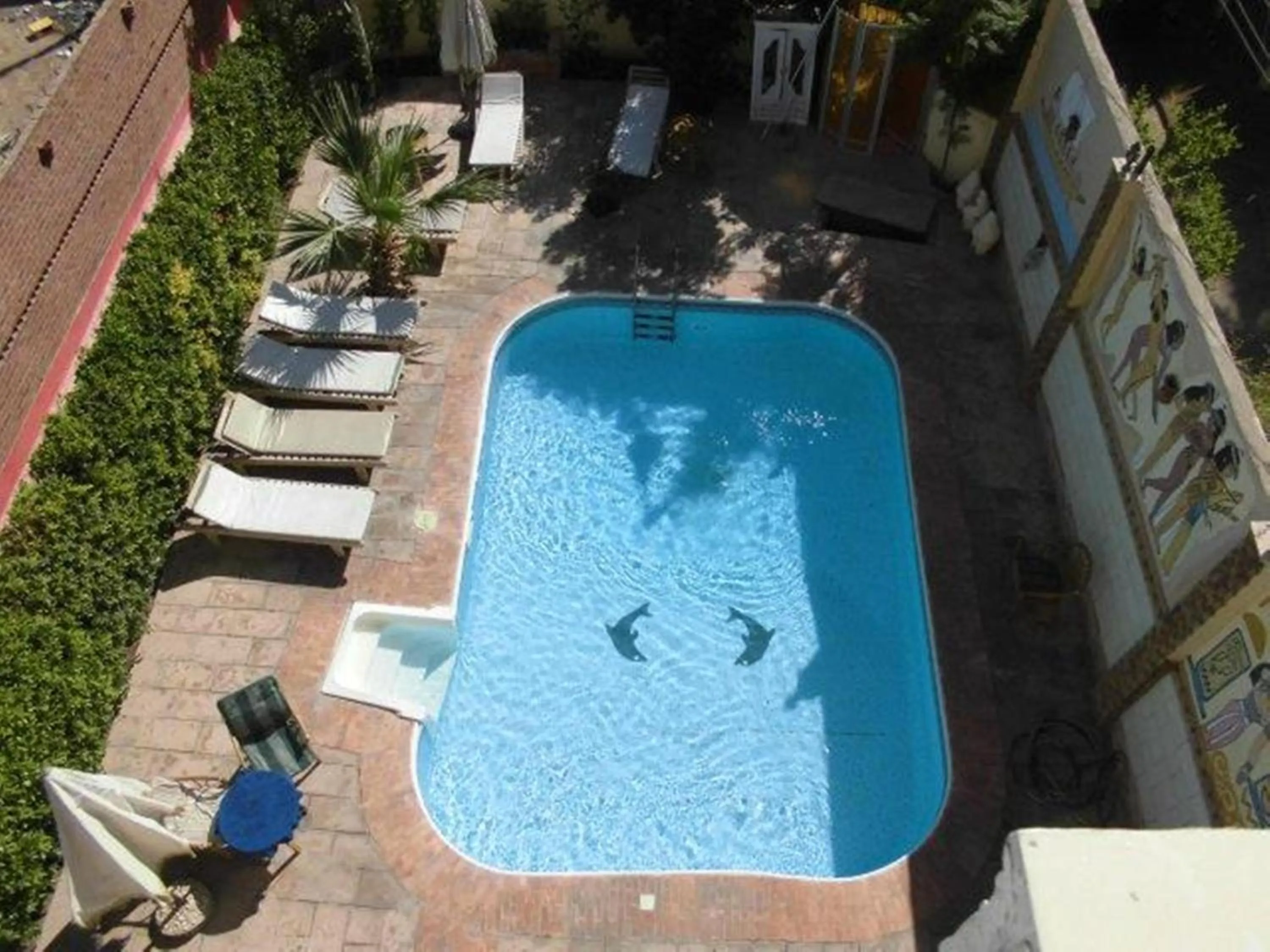 Pool view in El Mesala Hotel