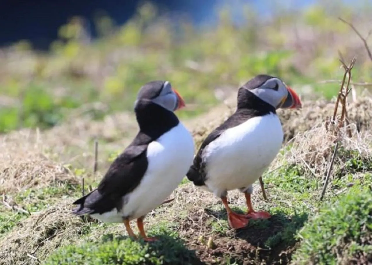 Nearby landmark in Best Western Lamphey Court Hotel and Spa