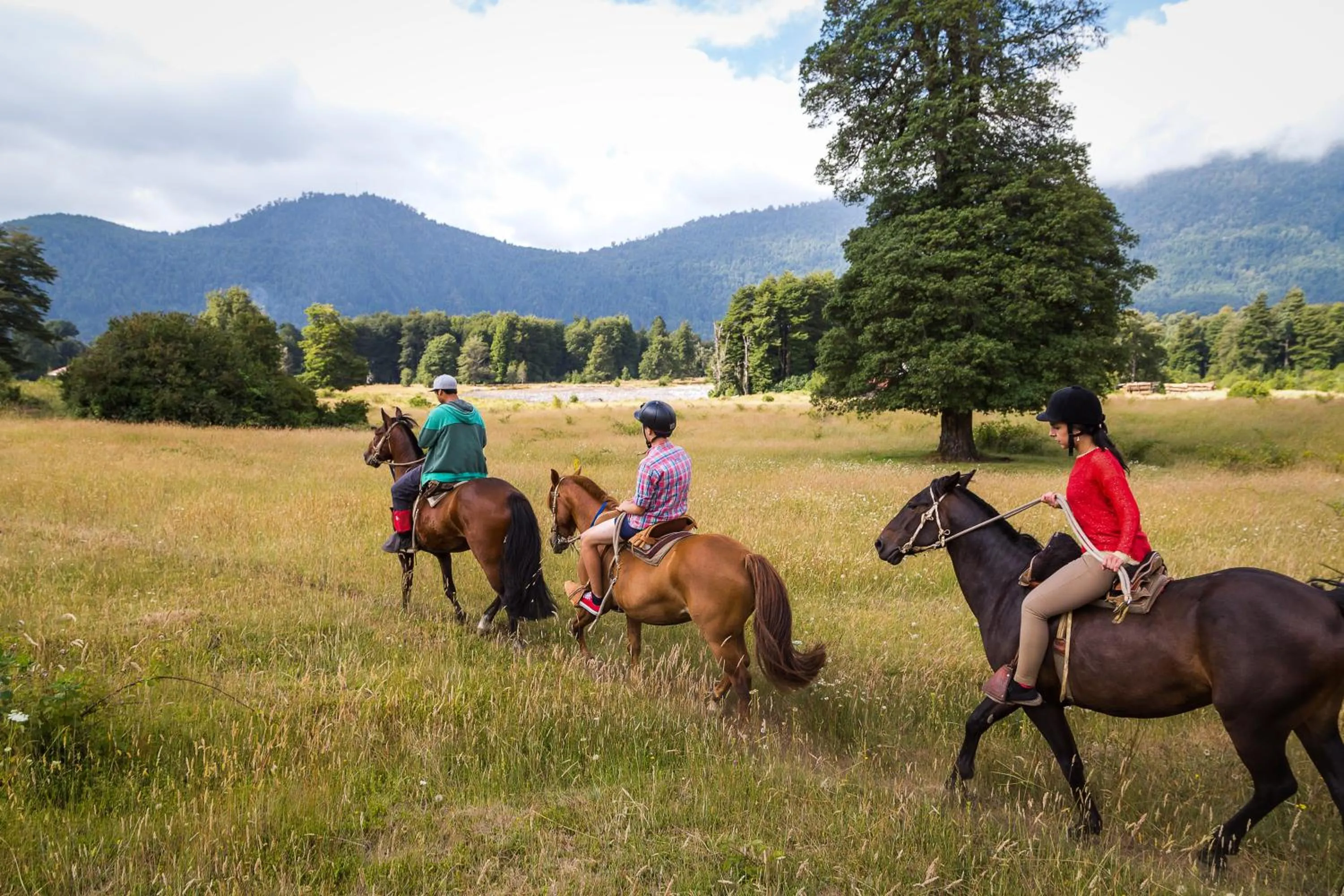 Horse-riding in Huilo Huilo Nothofagus Hotel & Spa