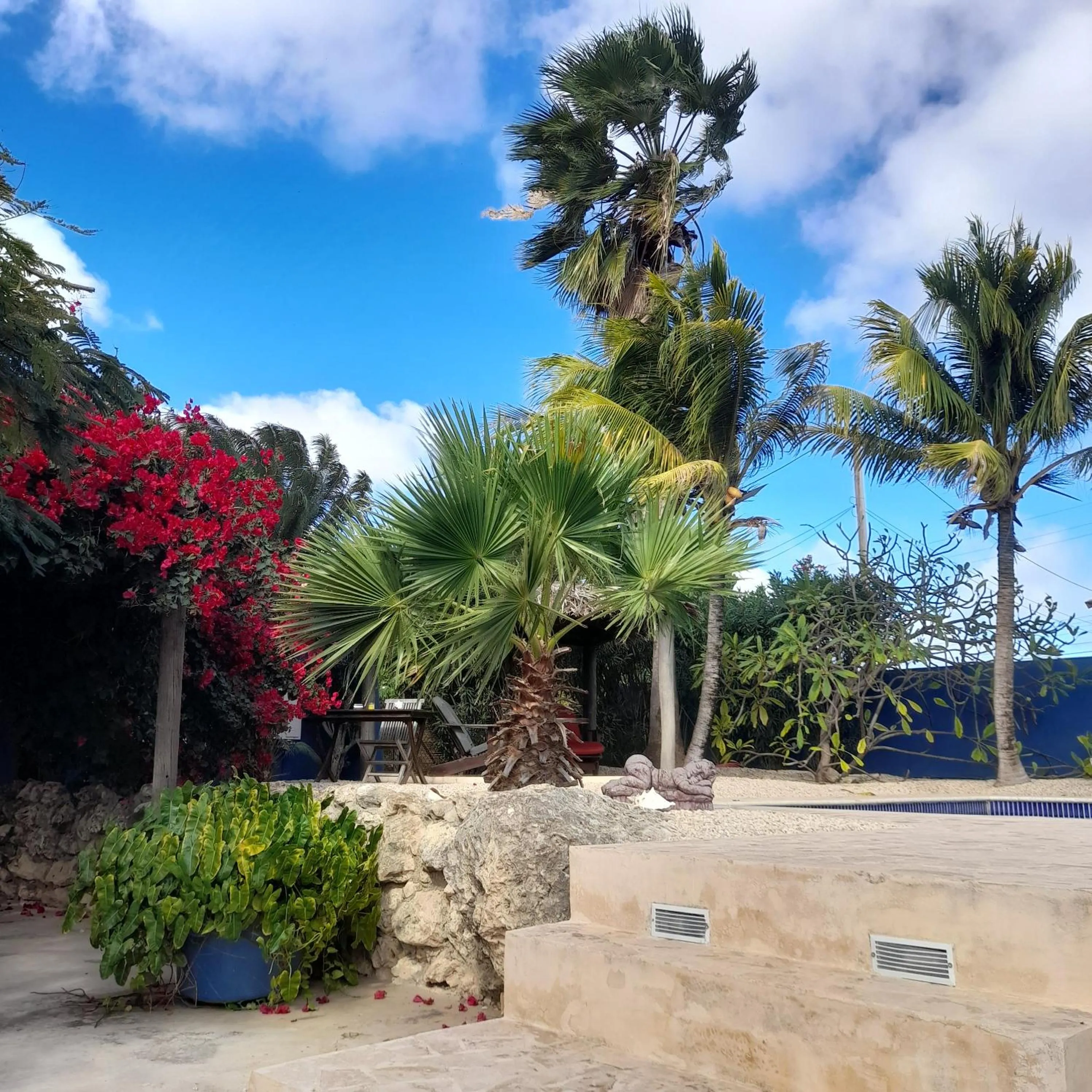 Garden in Caribbean Chillout Apartments