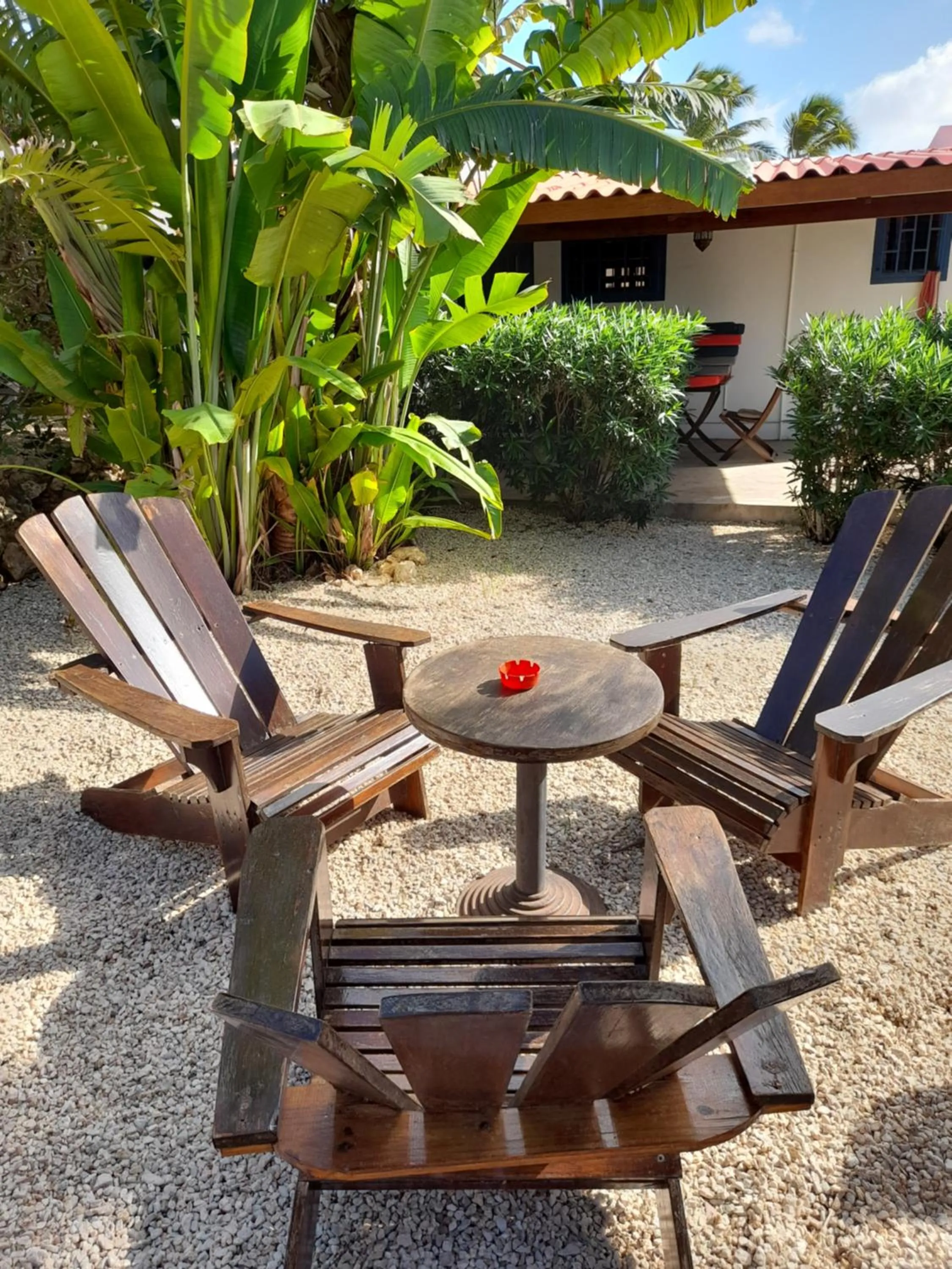 Garden in Caribbean Chillout Apartments