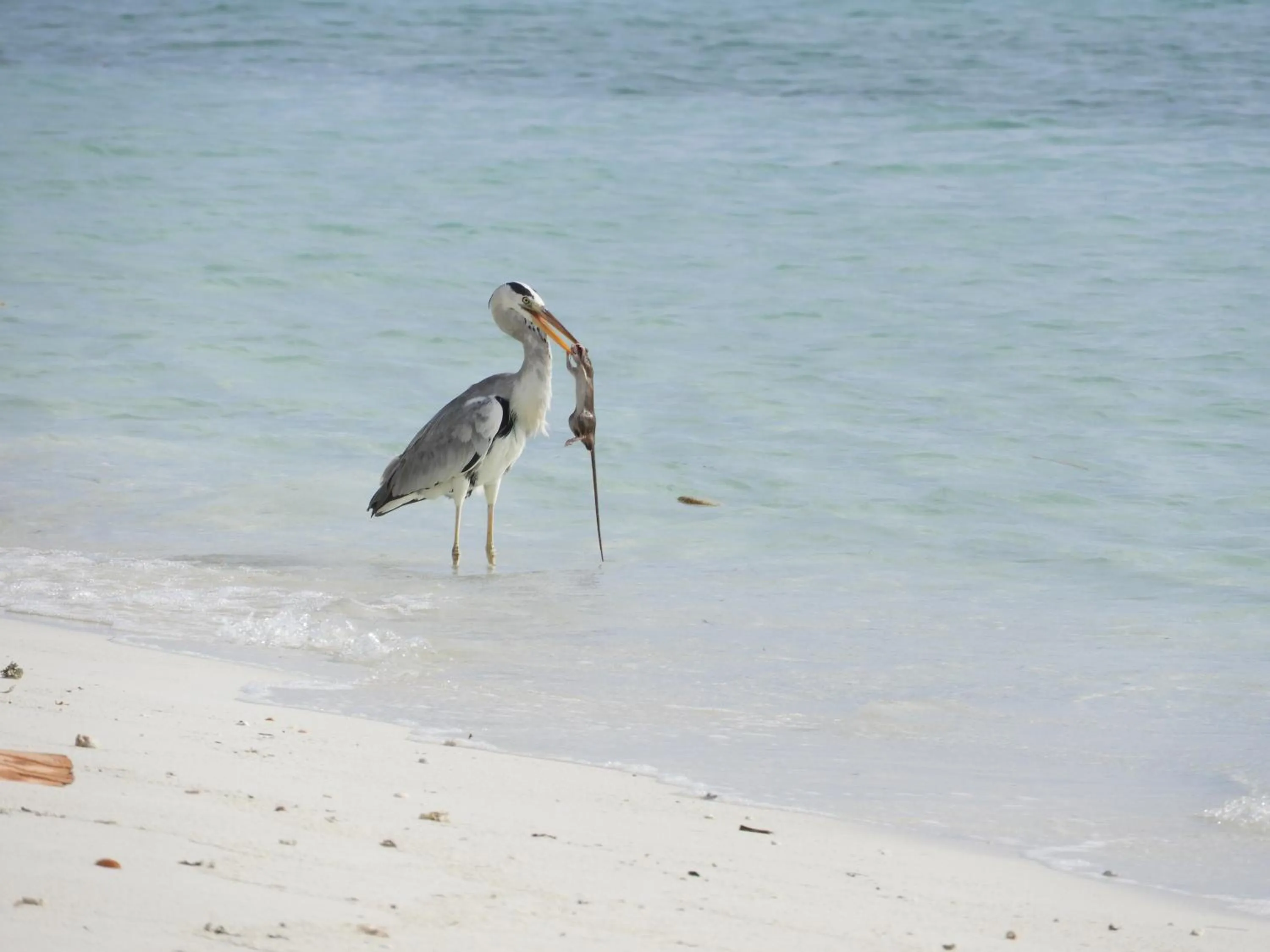 Beach in Karaa Village
