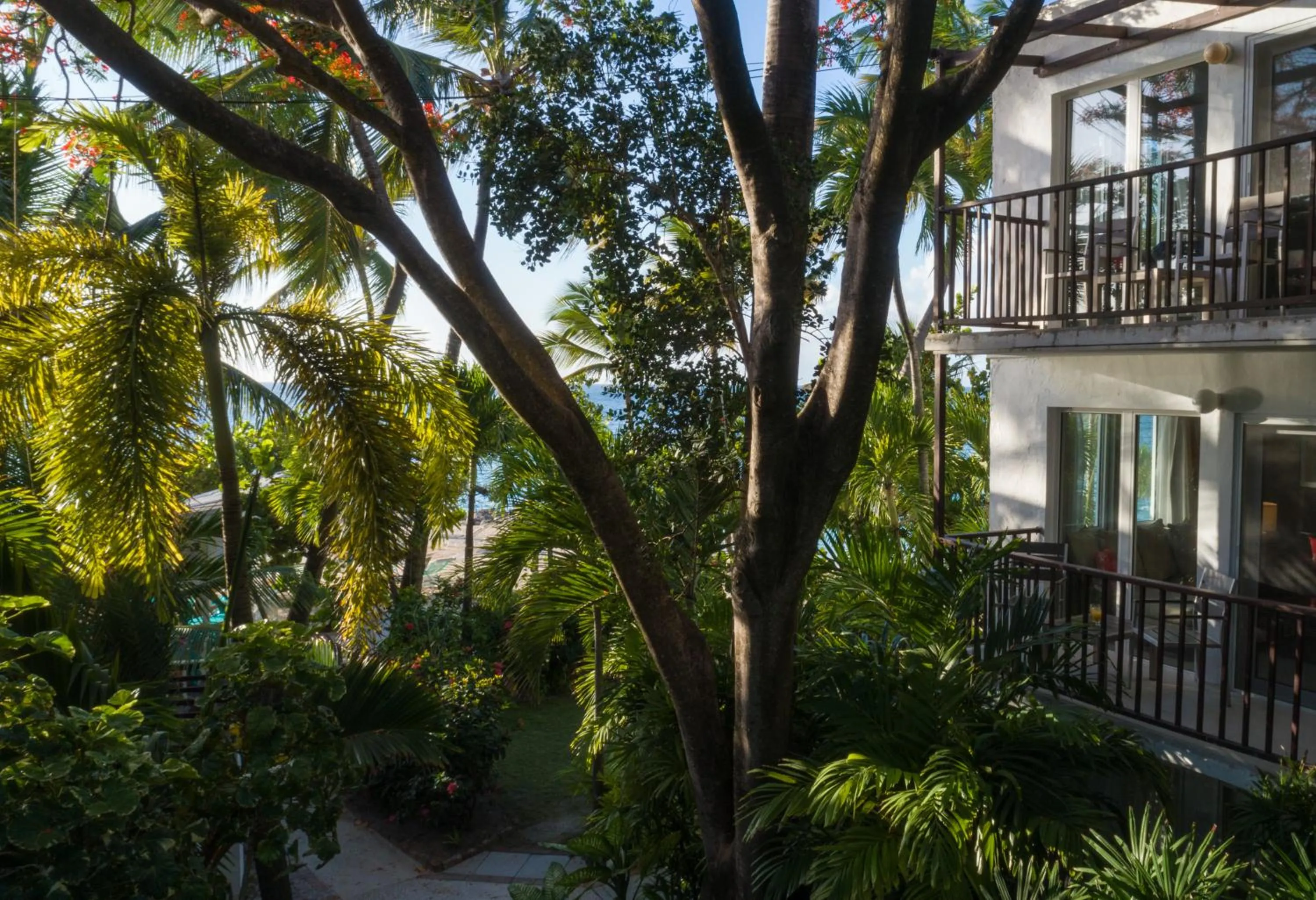 Garden in Siboney Beach Club