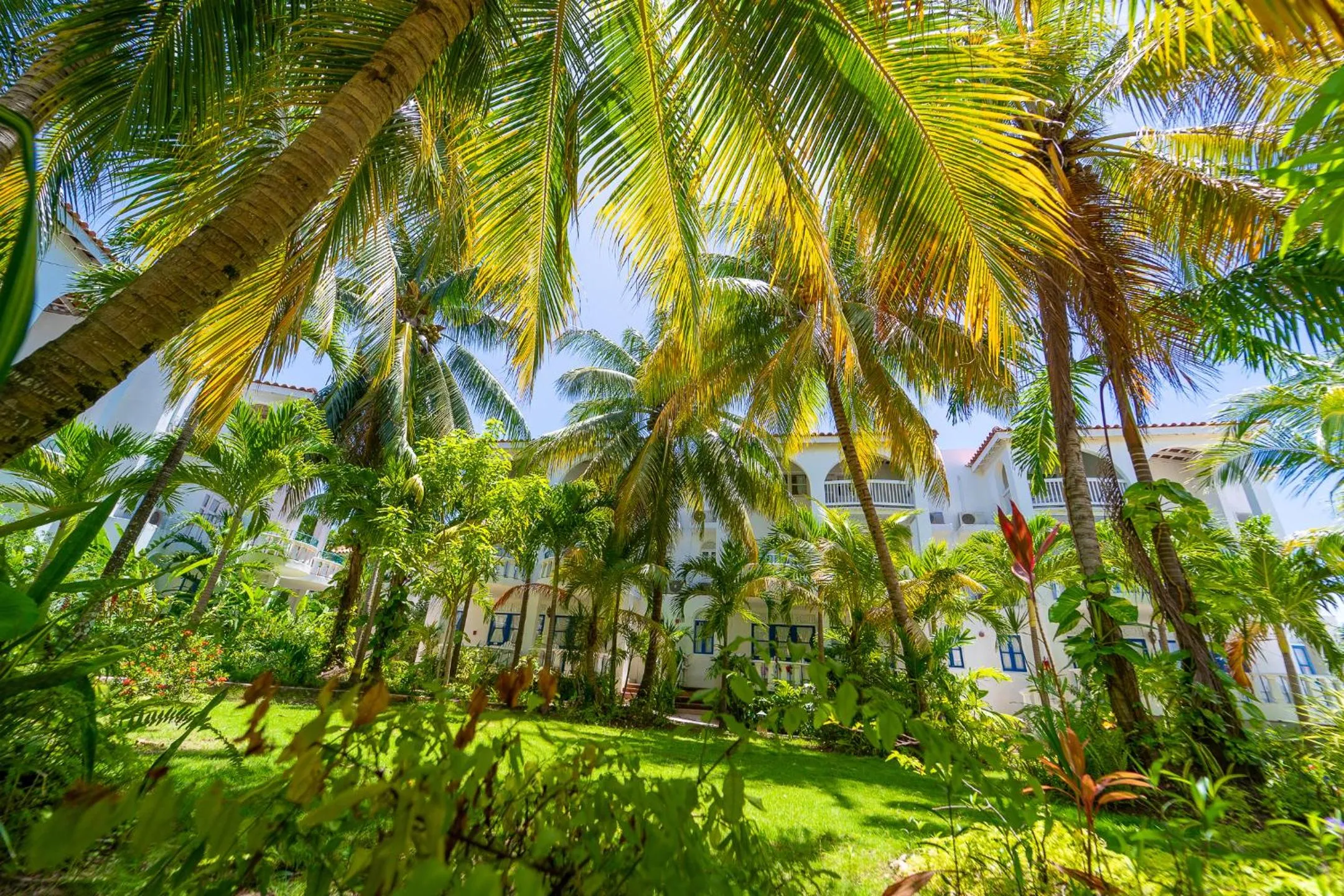 Franklyn D Resort & Spa All Inclusive