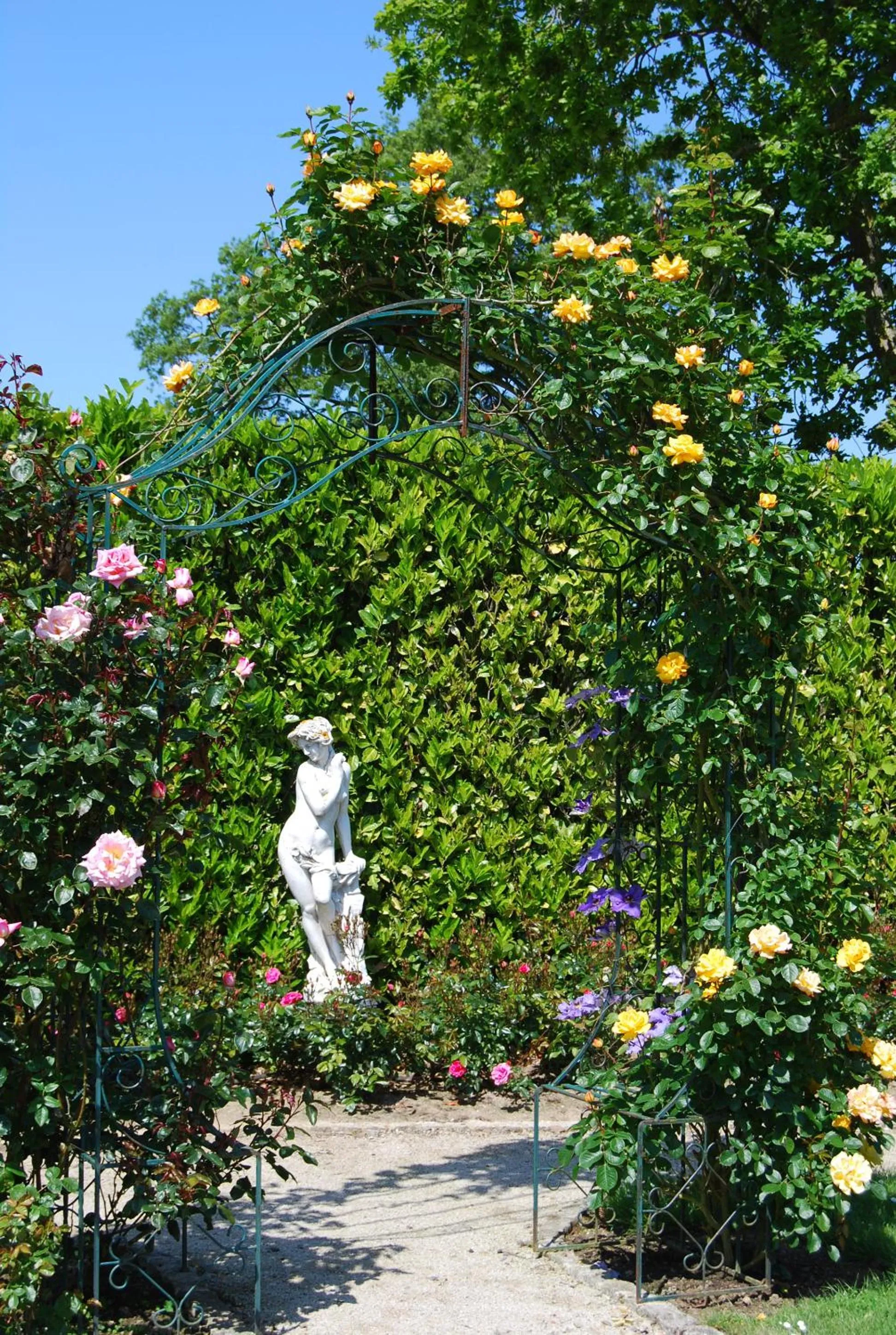 Garden in Hostellerie de la Motte jean