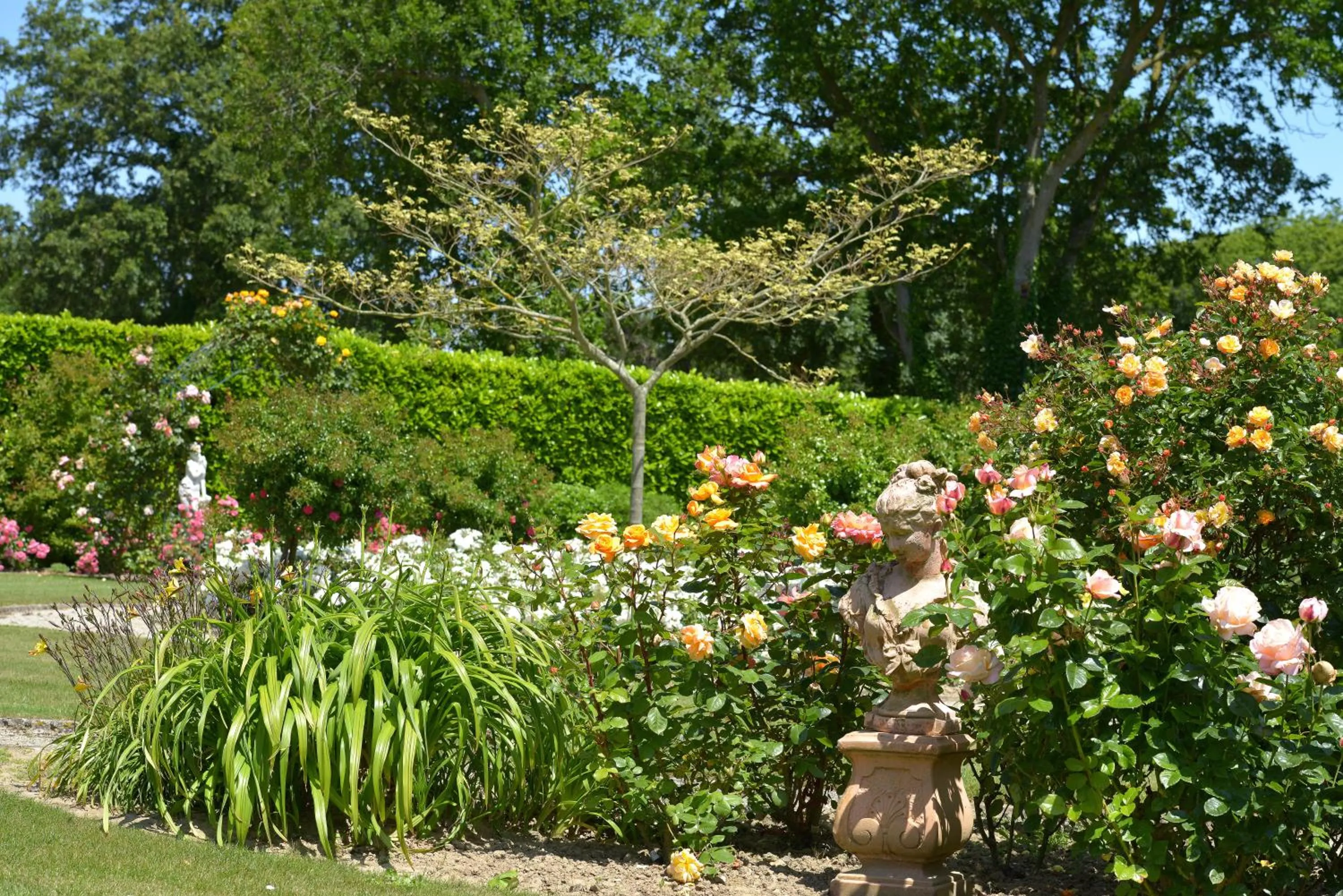 Garden in Hostellerie de la Motte jean
