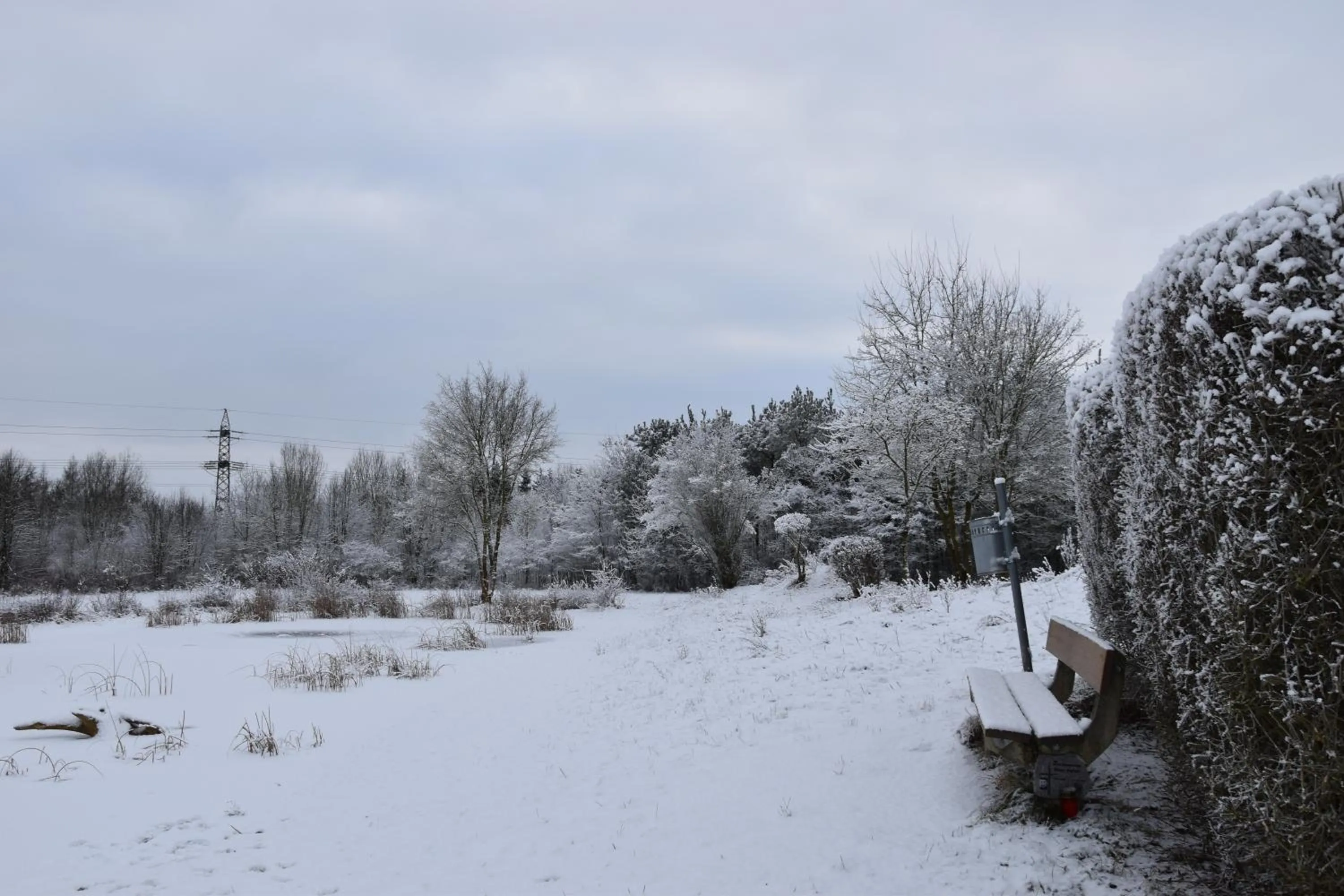 Off site in F Hotel 24h Check-In