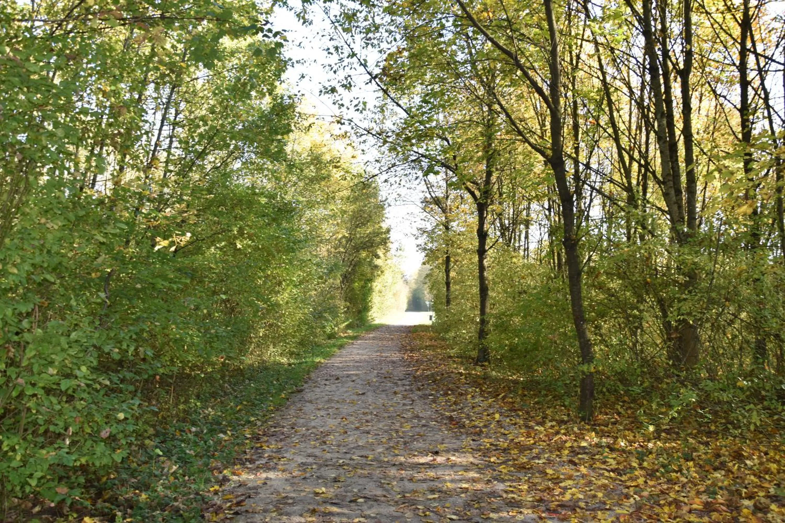 Spring in F Hotel 24h Check-In