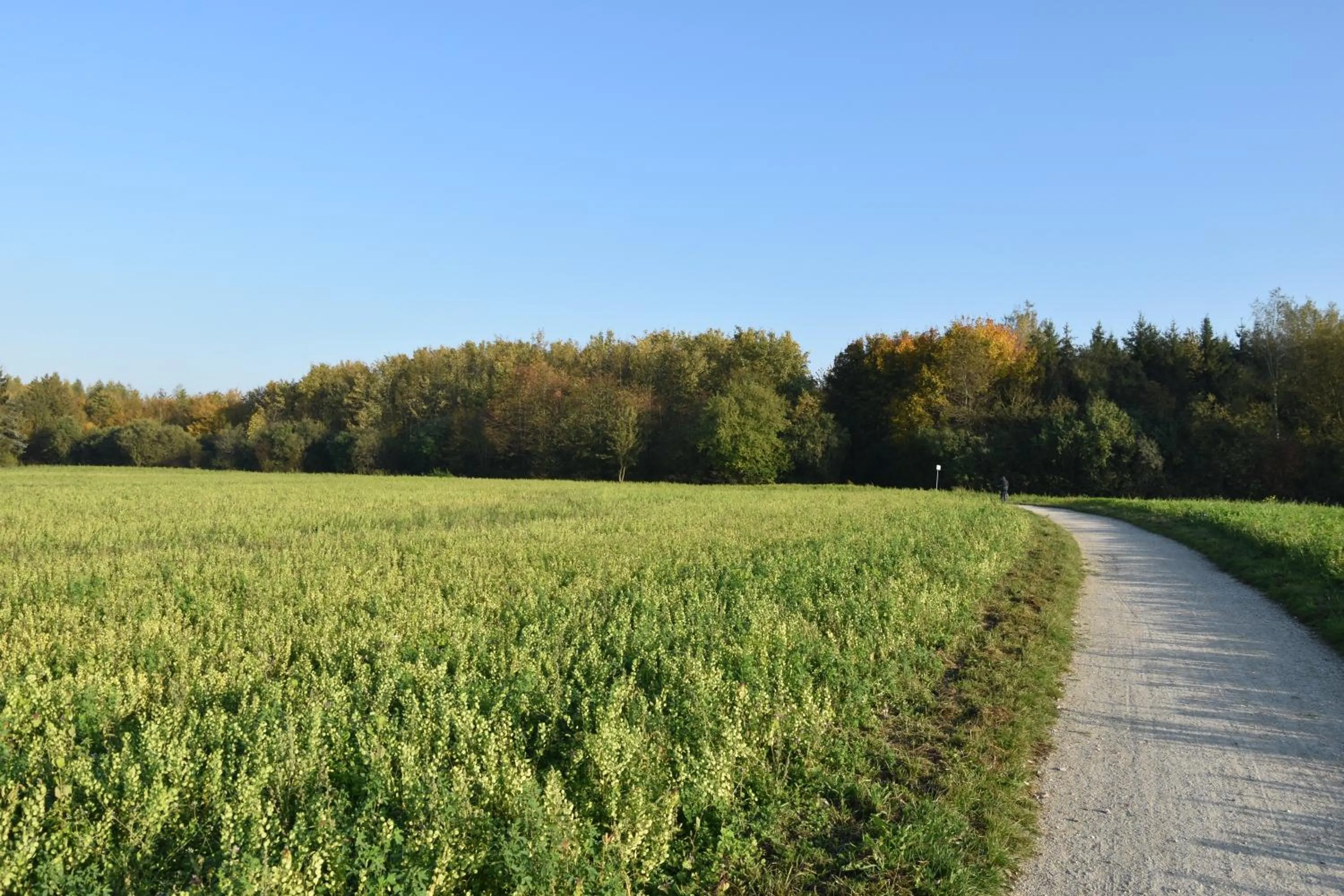 Spring in F Hotel 24h Check-In