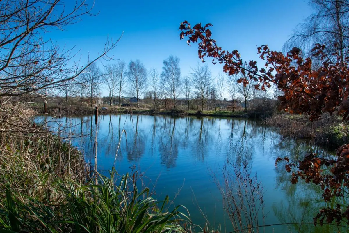 Lake view in Common Farm Motel