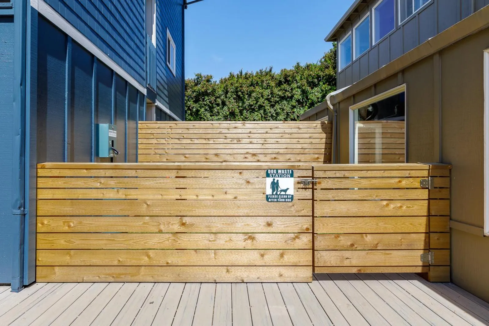 Pets in Surfland Hotel