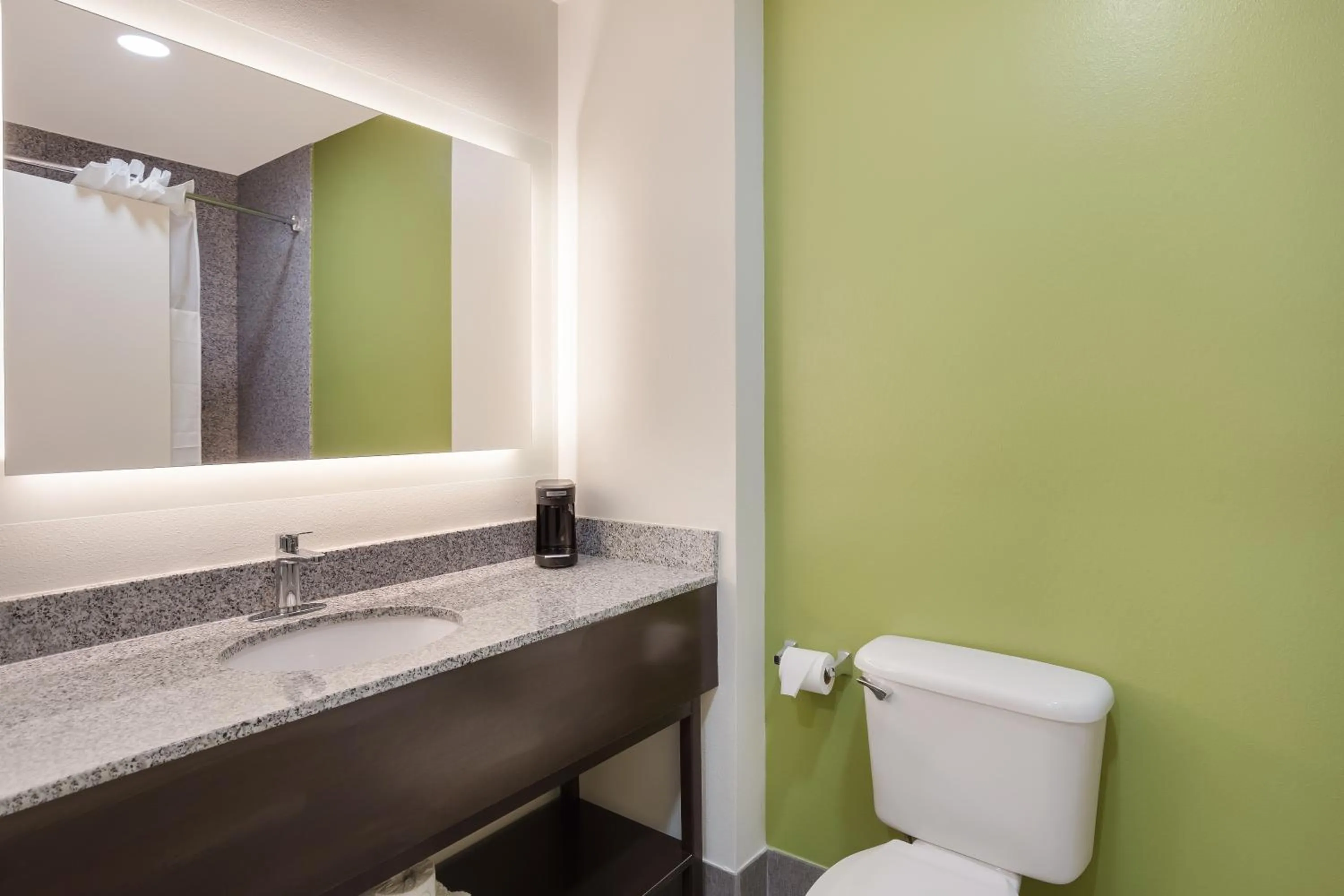 Bathroom in Sleep Inn & Suites North Mobile Saraland