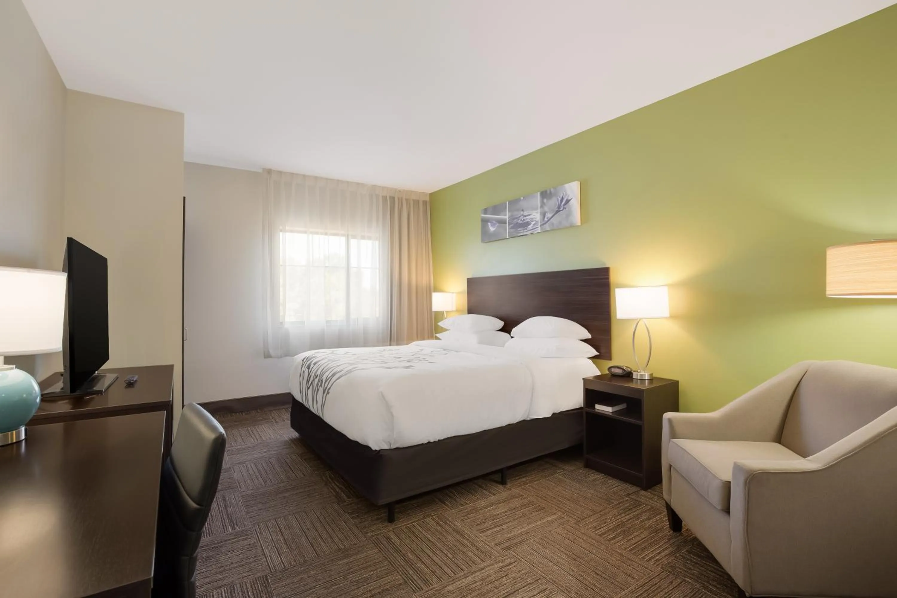 Bedroom, Bed in Sleep Inn & Suites North Mobile Saraland