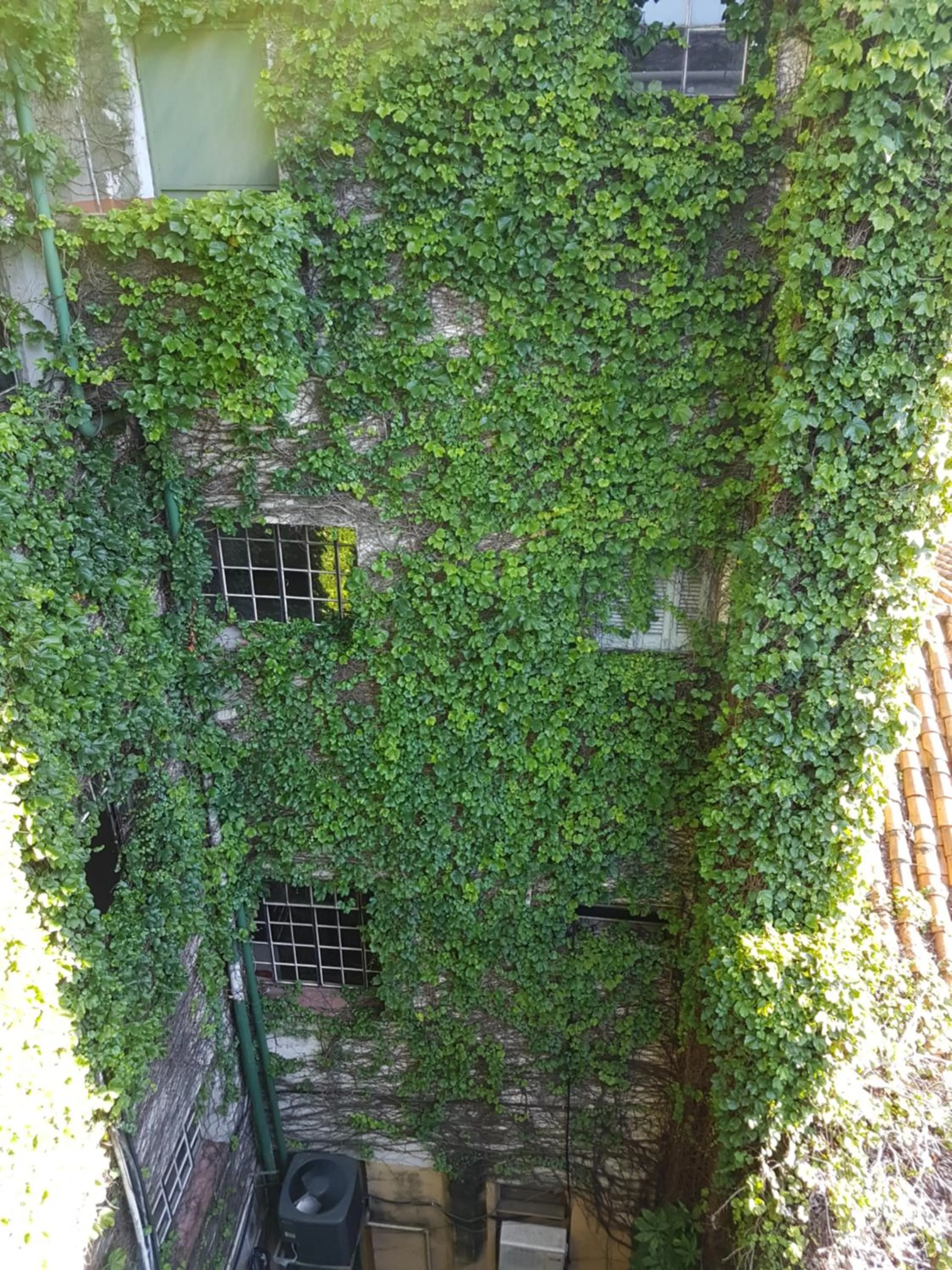 Patio in Asuncion Palace