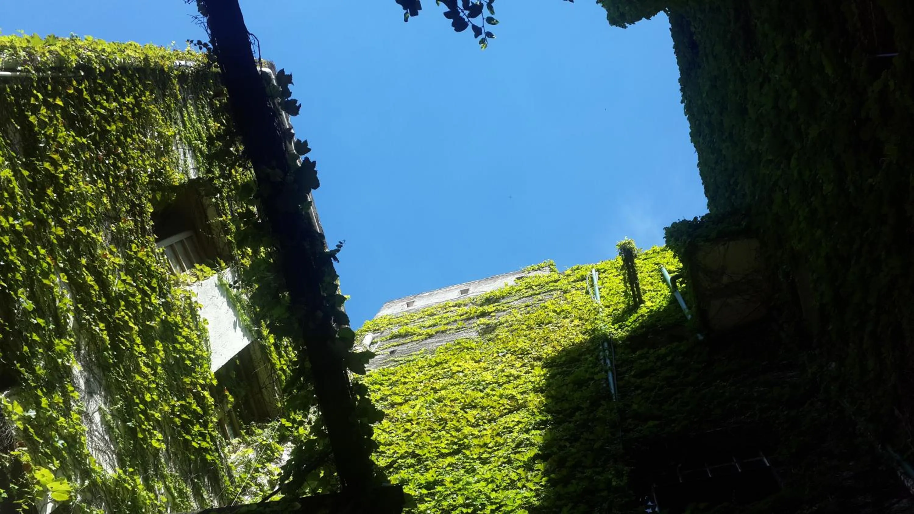 Garden in Asuncion Palace