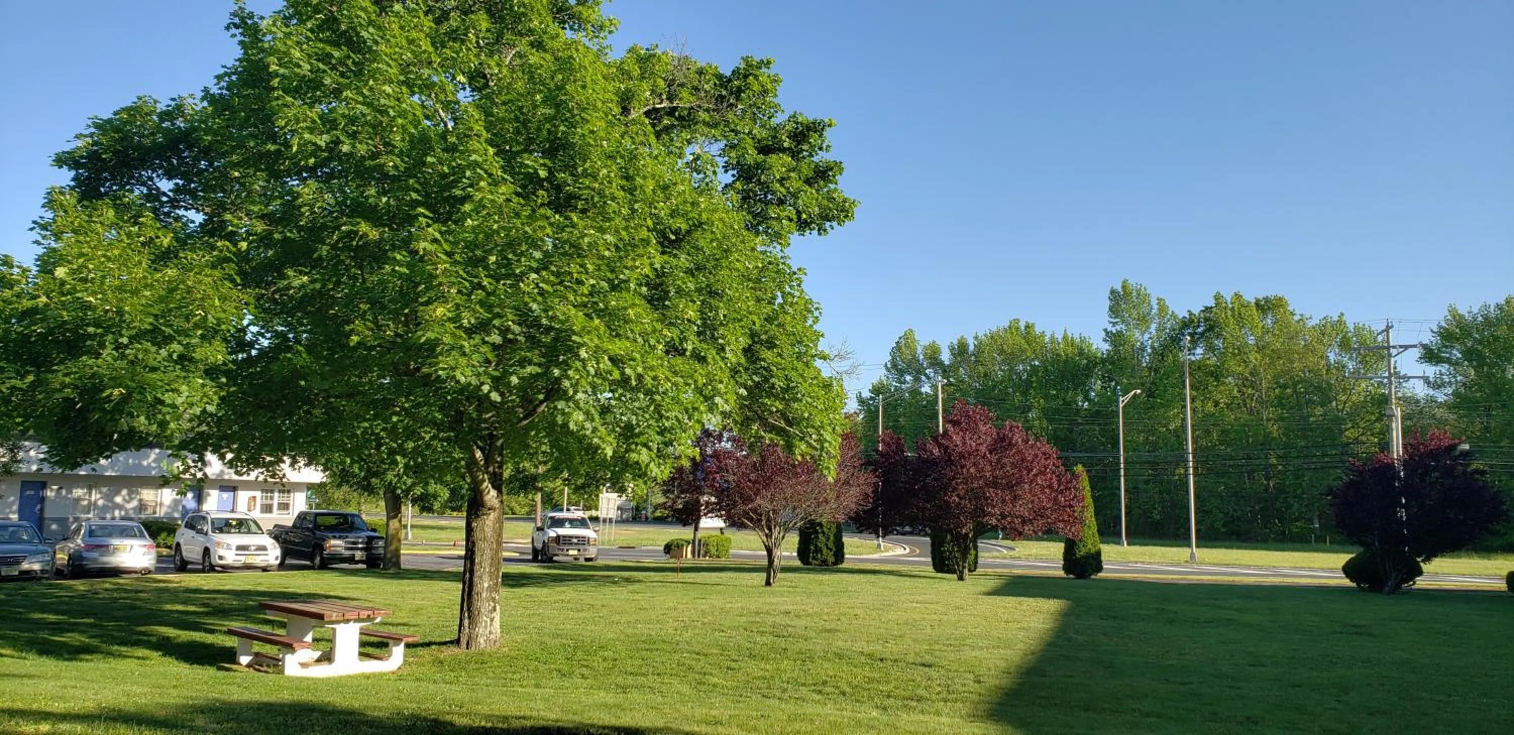 Garden in Motel 6-Tinton Falls, NJ
