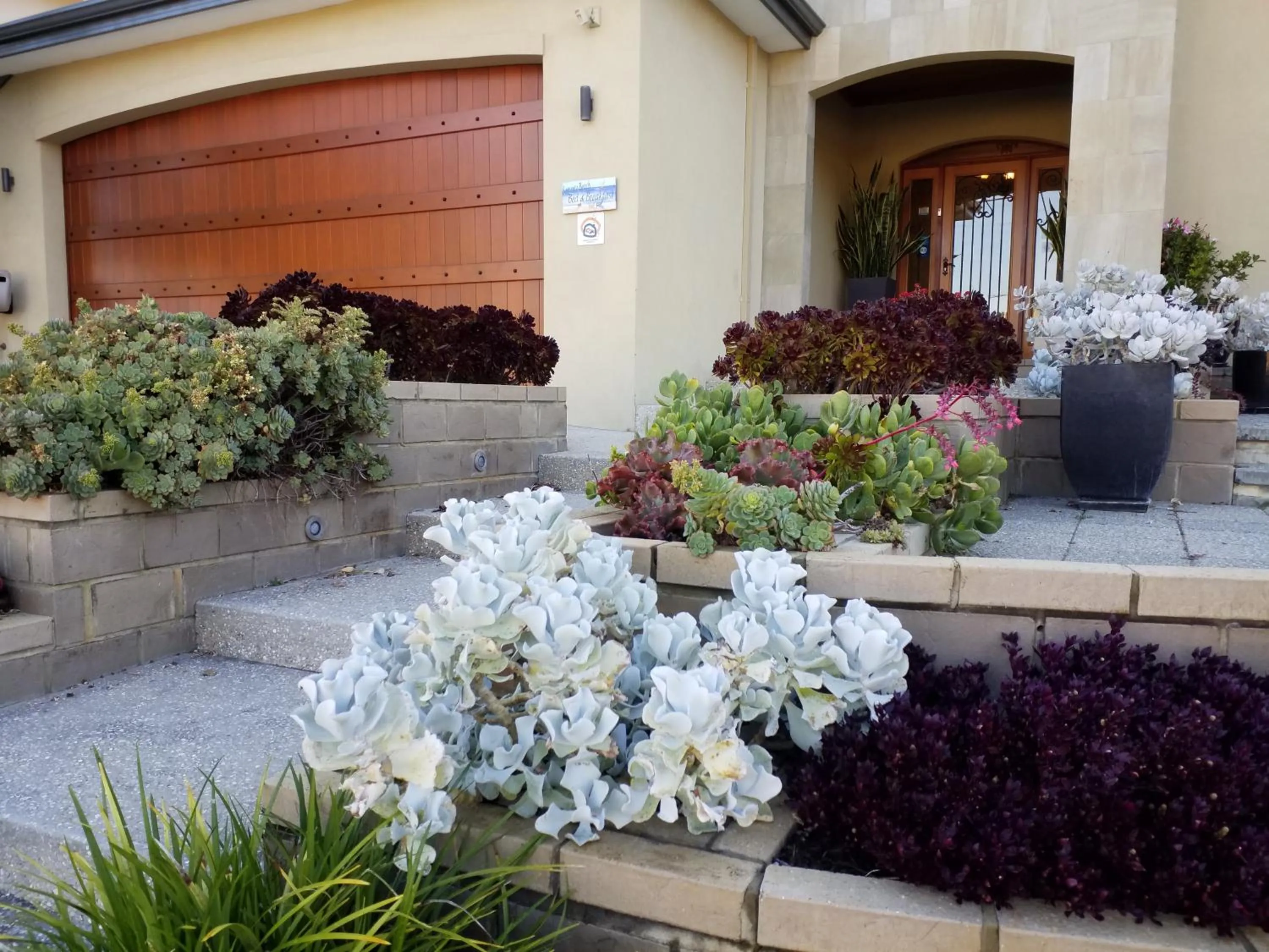 Garden in Sorrento Beach Bed & Breakfast