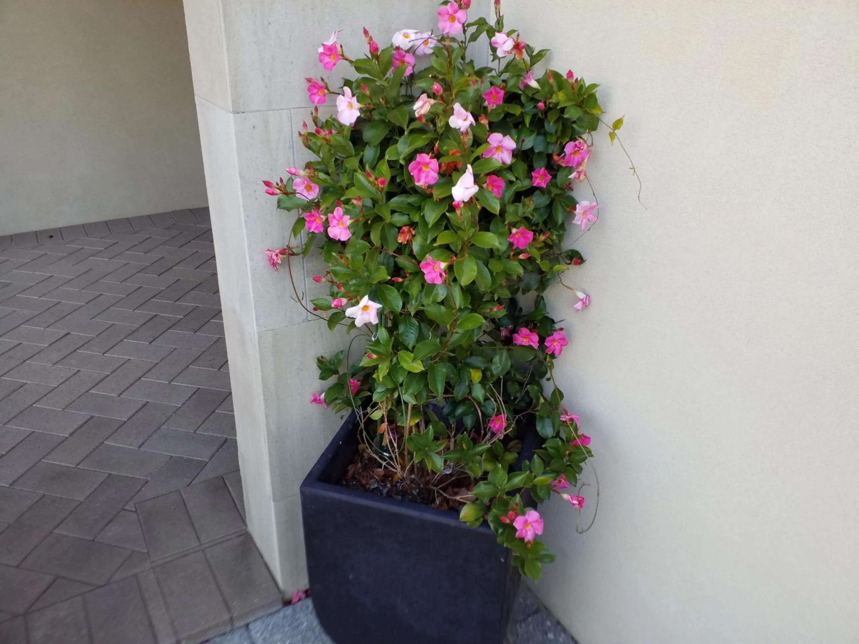 On site in Sorrento Beach Bed & Breakfast