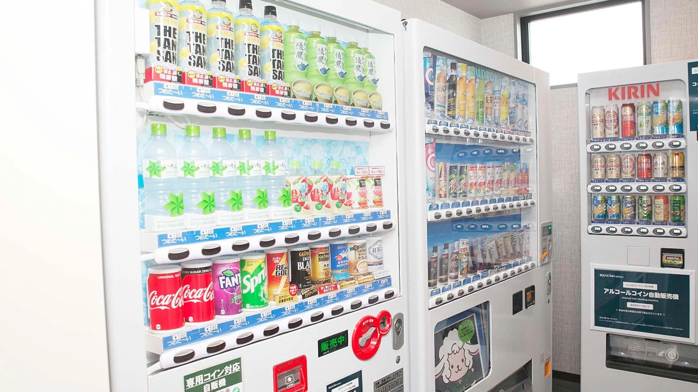 Hotel Route-Inn Gotenba Eki-Minami