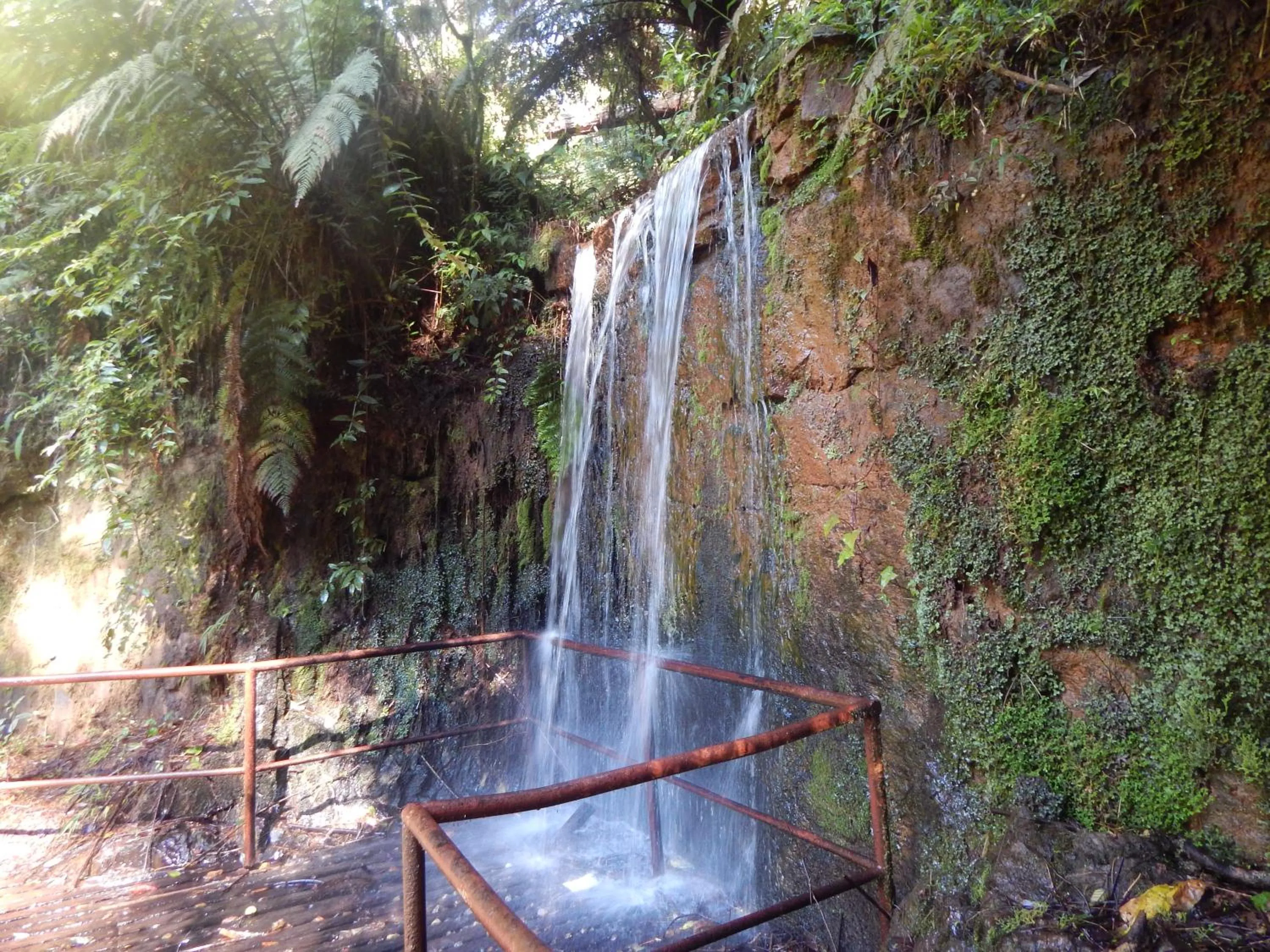 Garden in Hotel Platanus