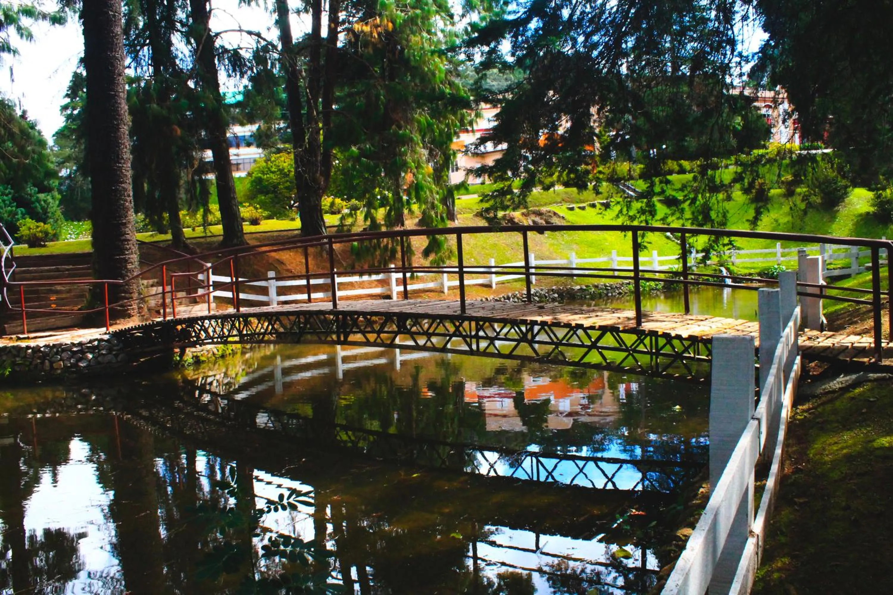 Natural landscape in Hotel Platanus