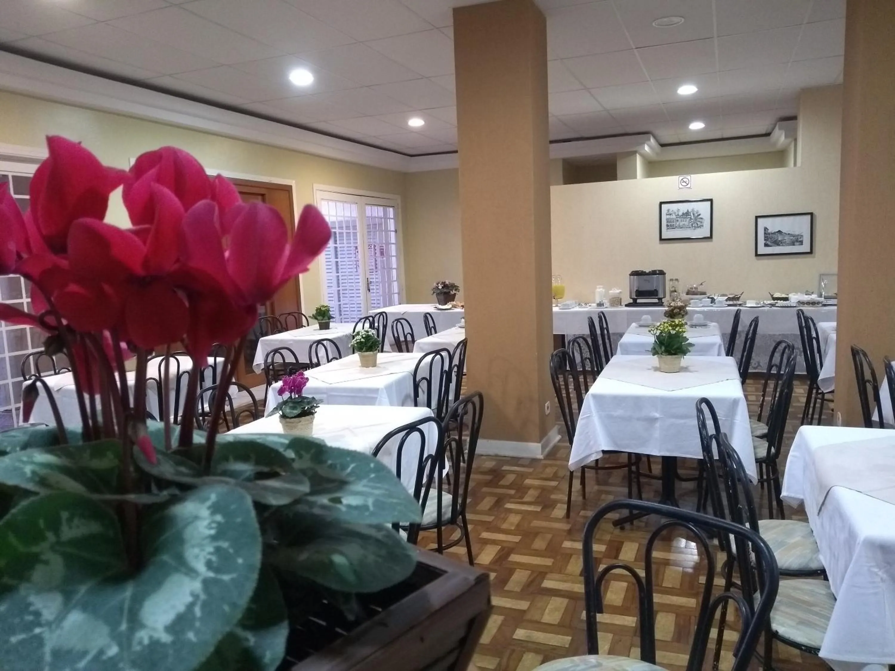 Restaurant/places to eat in Hotel Platanus
