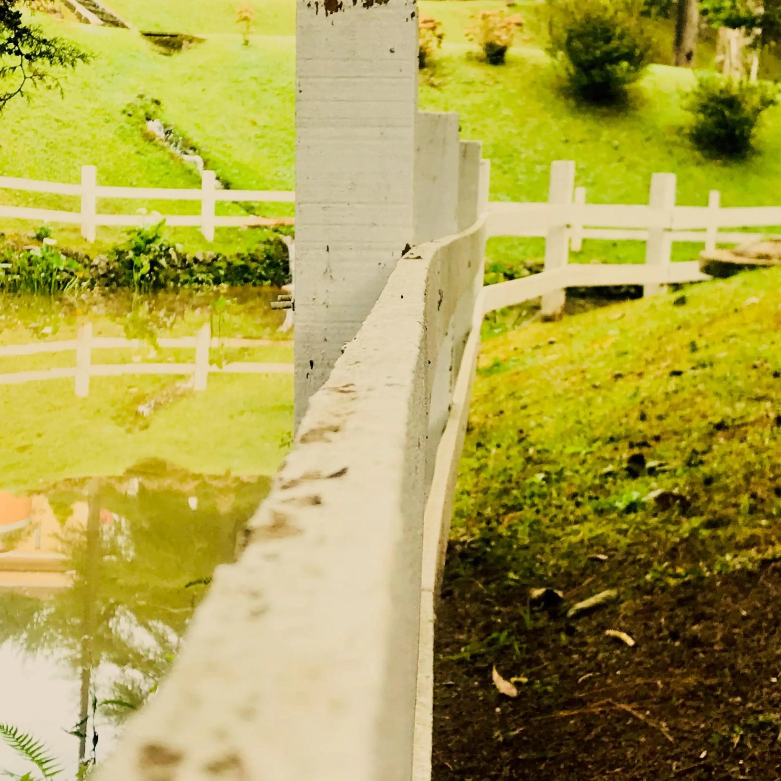 Garden in Hotel Platanus