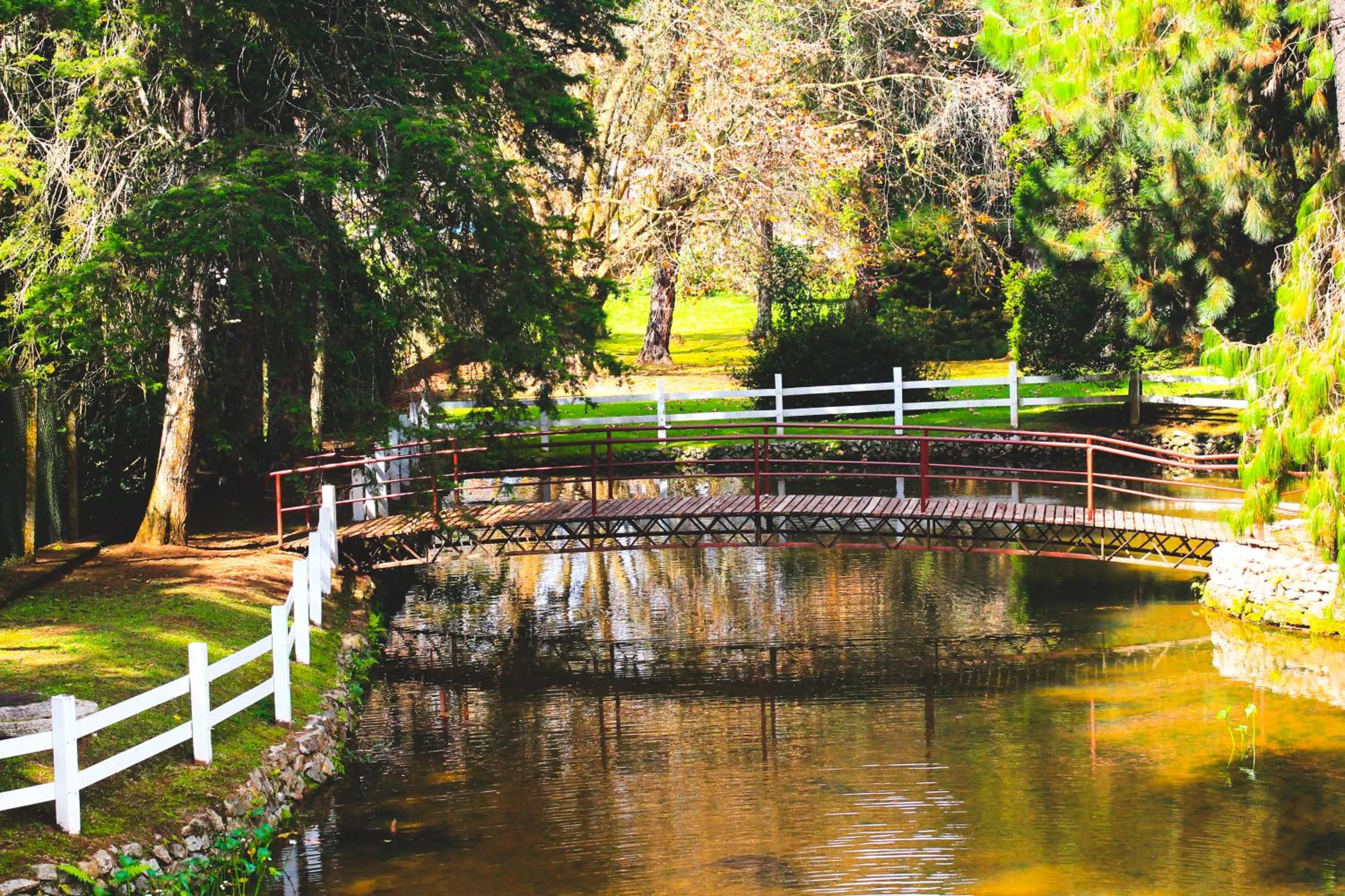 Garden in Hotel Platanus