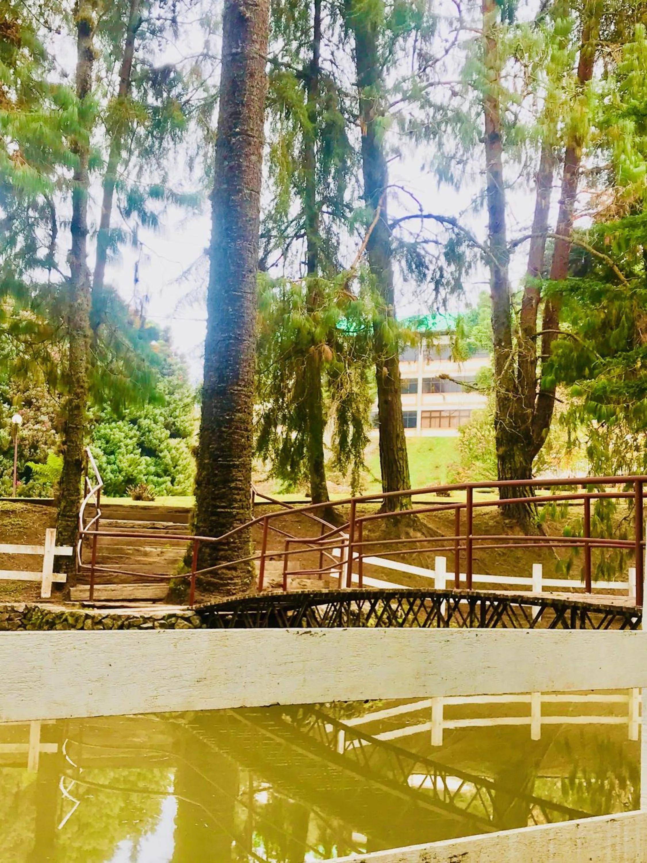 Garden in Hotel Platanus