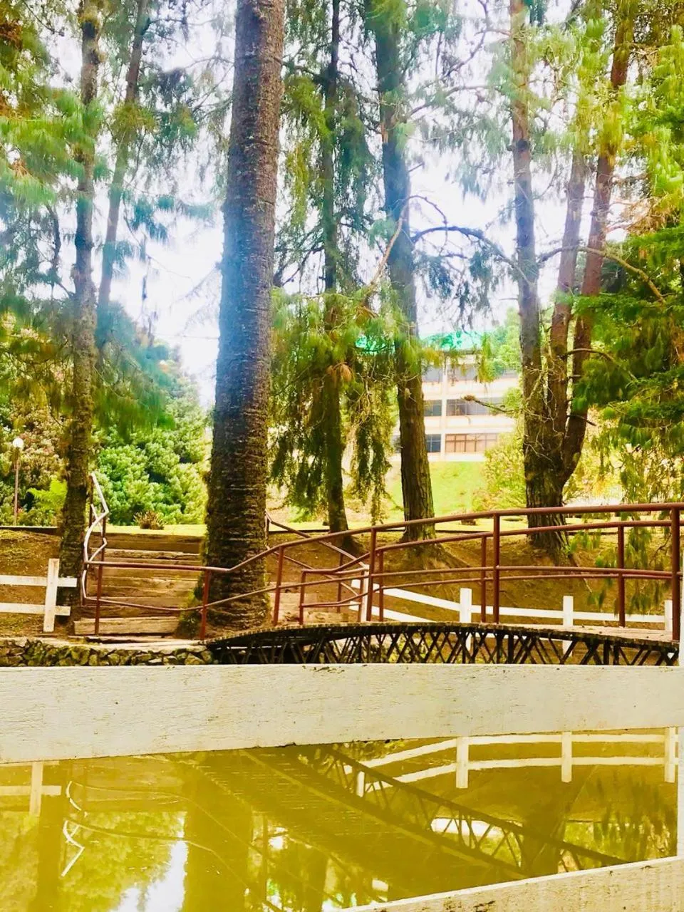 Garden in Hotel Platanus