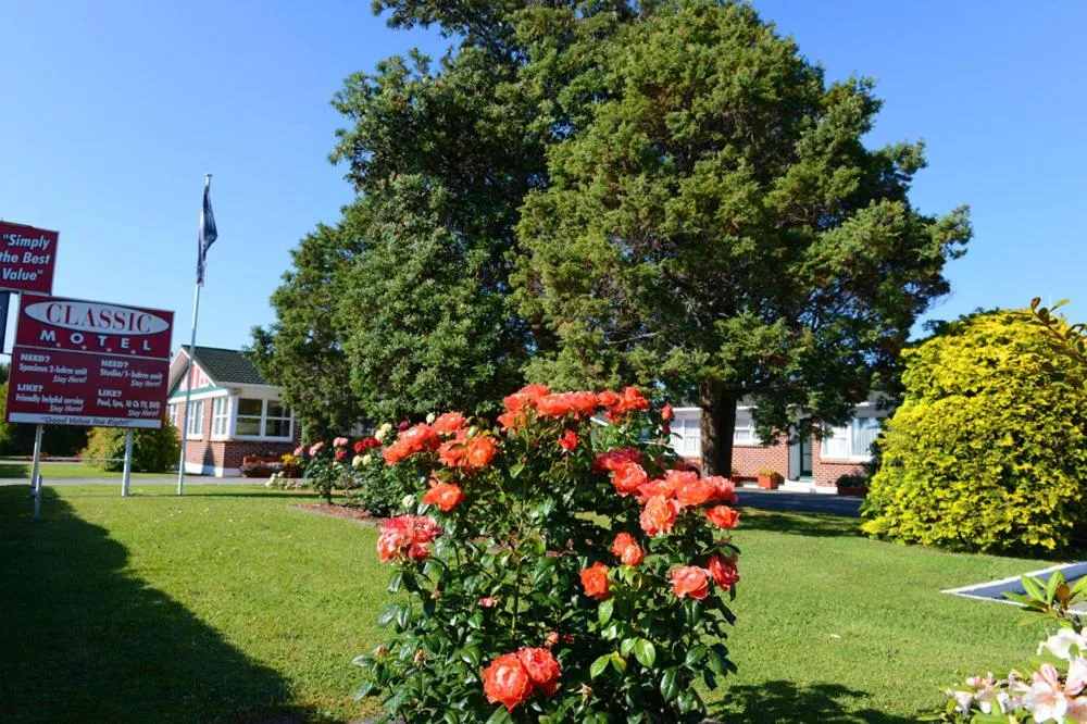 Day in Classic Motel