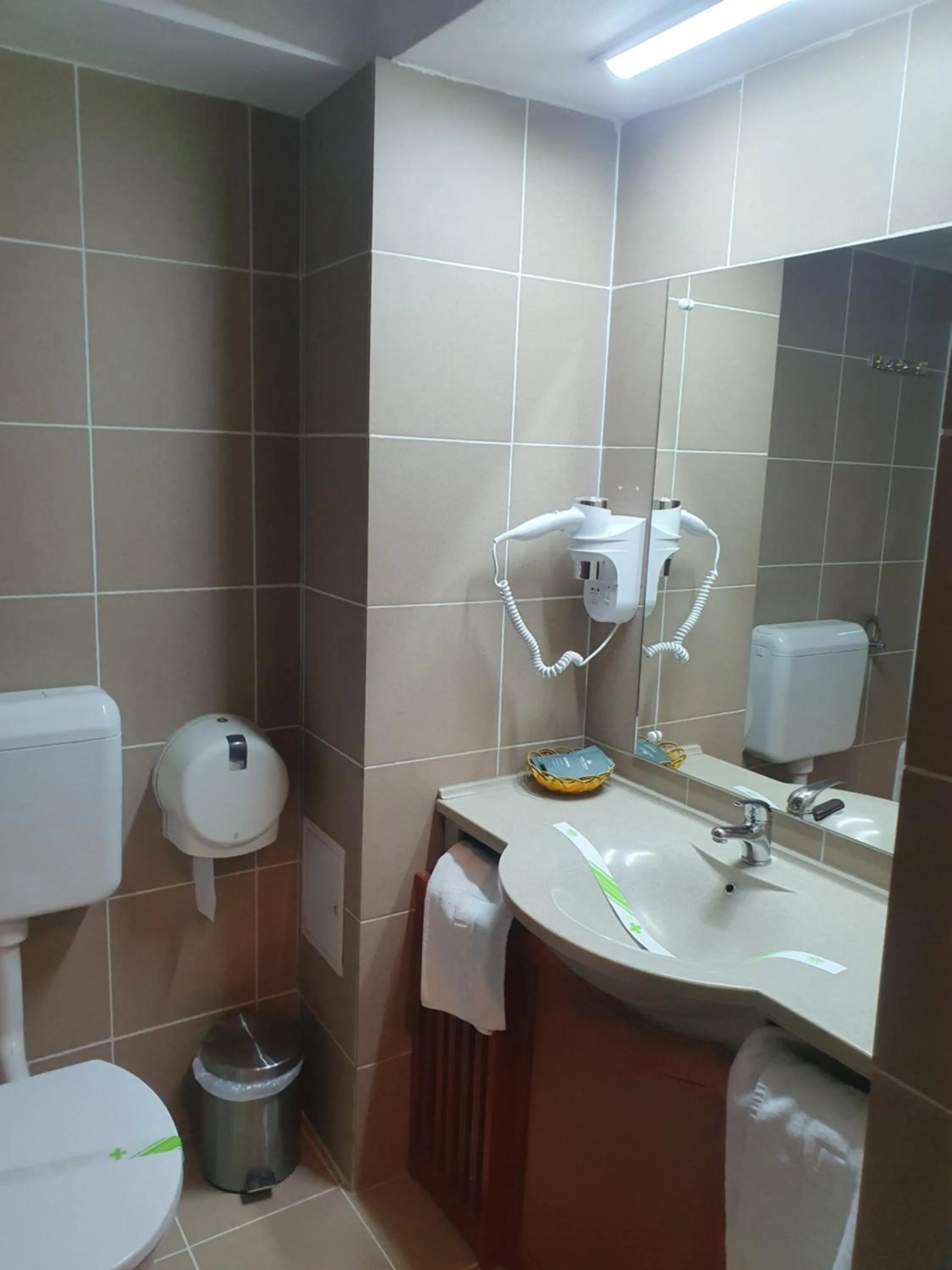 Bathroom in Hotel Sinaia