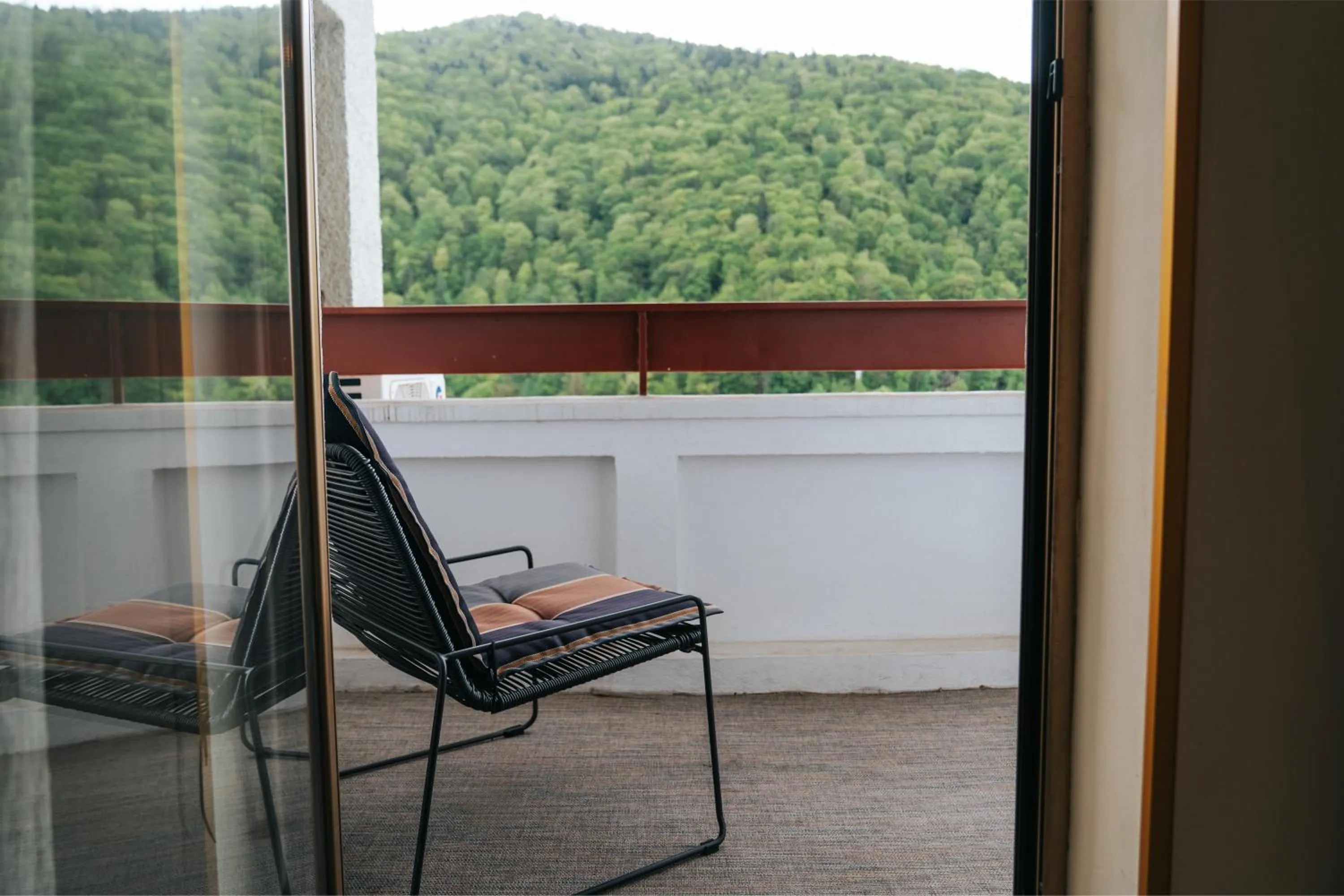 Natural landscape in Hotel Sinaia