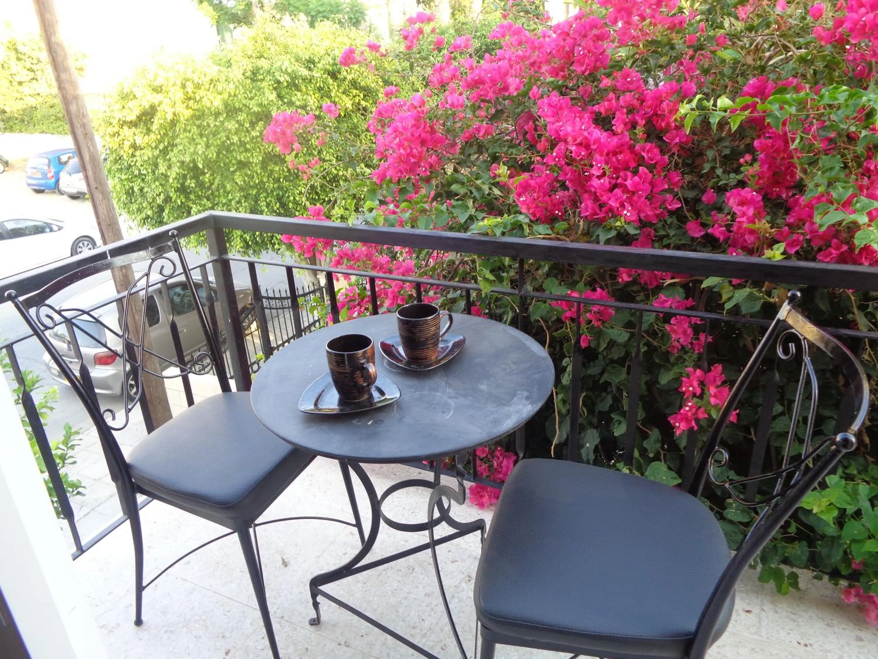 Balcony/Terrace in Irene's Apartments