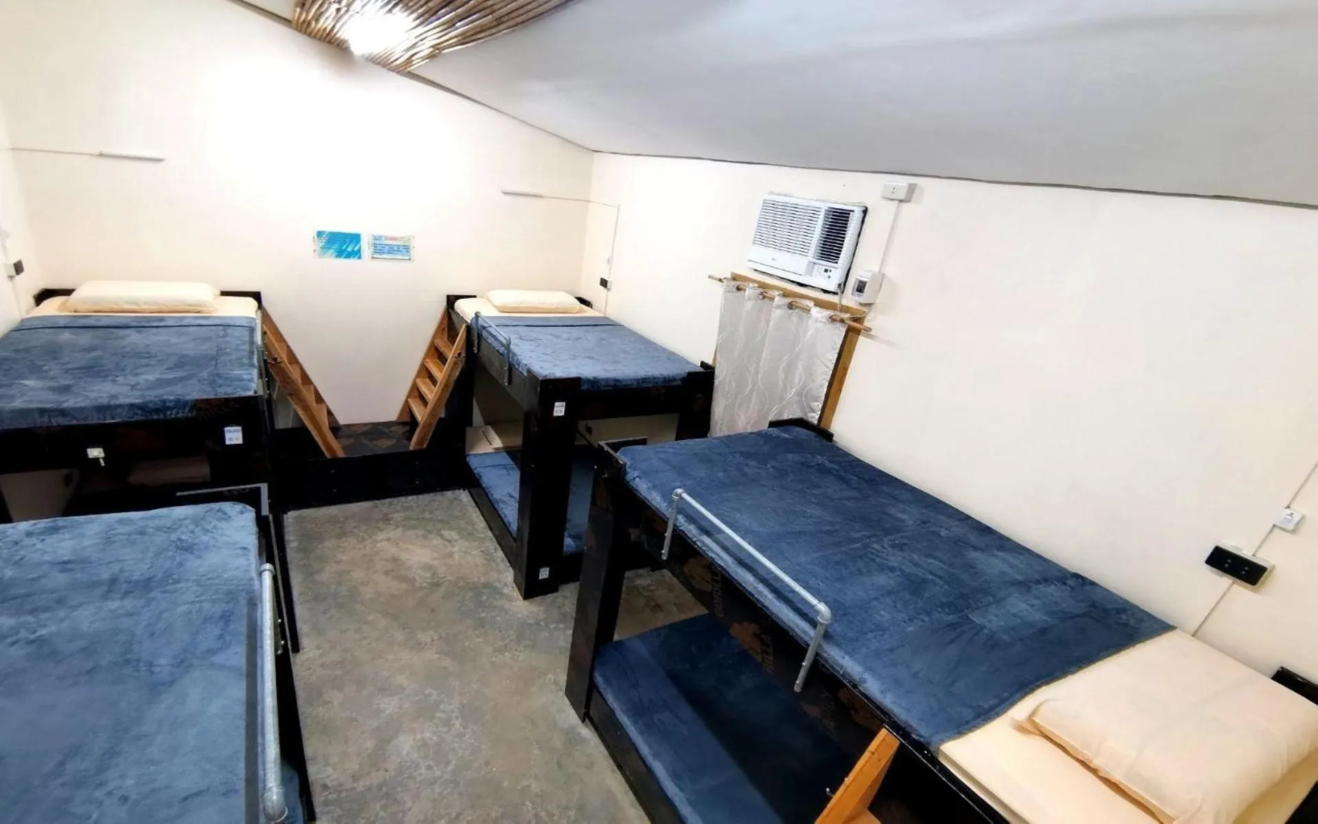 Bed in Big Paul Hostel