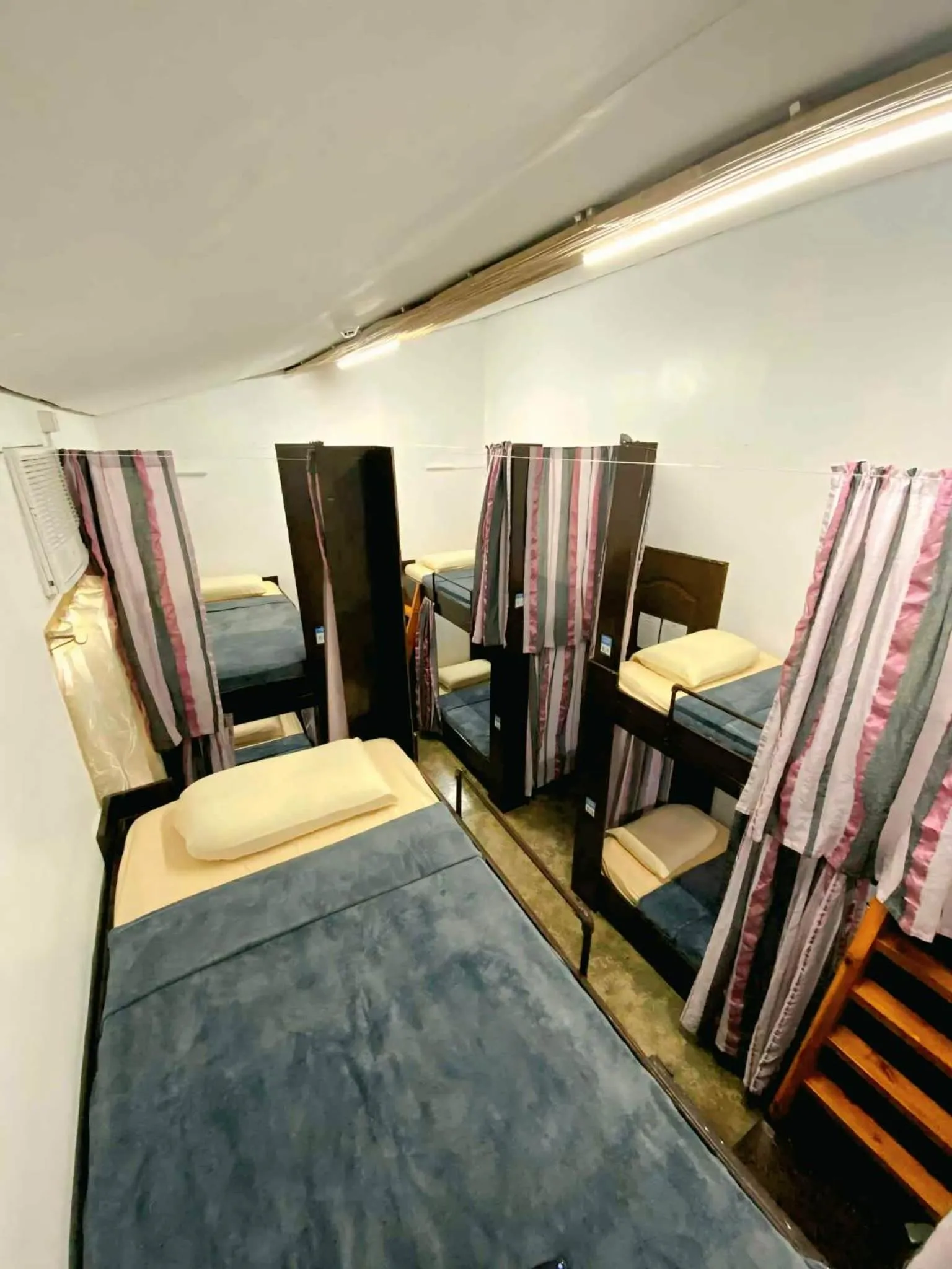 Bed in Big Paul Hostel