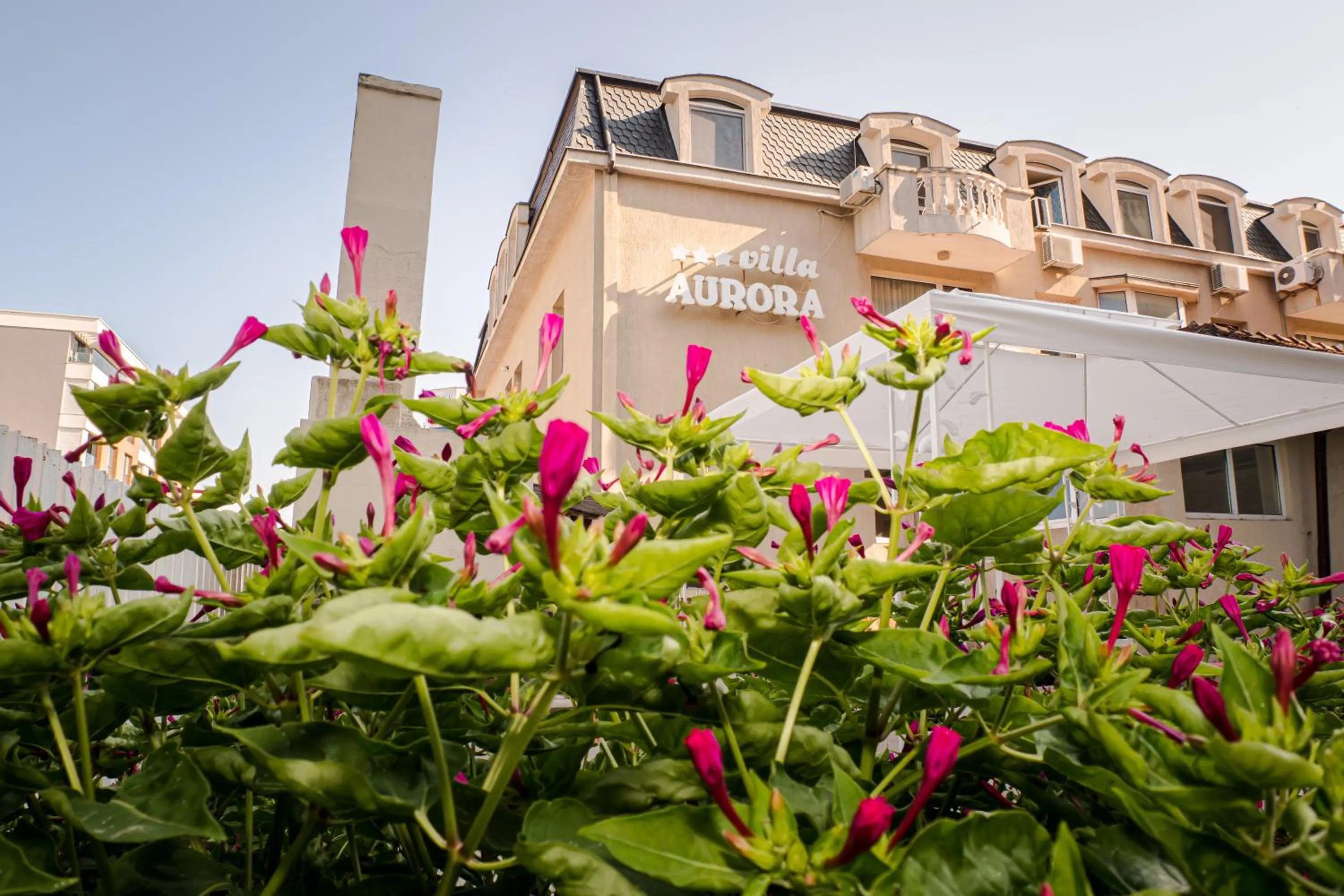 Property building in Villa Aurora