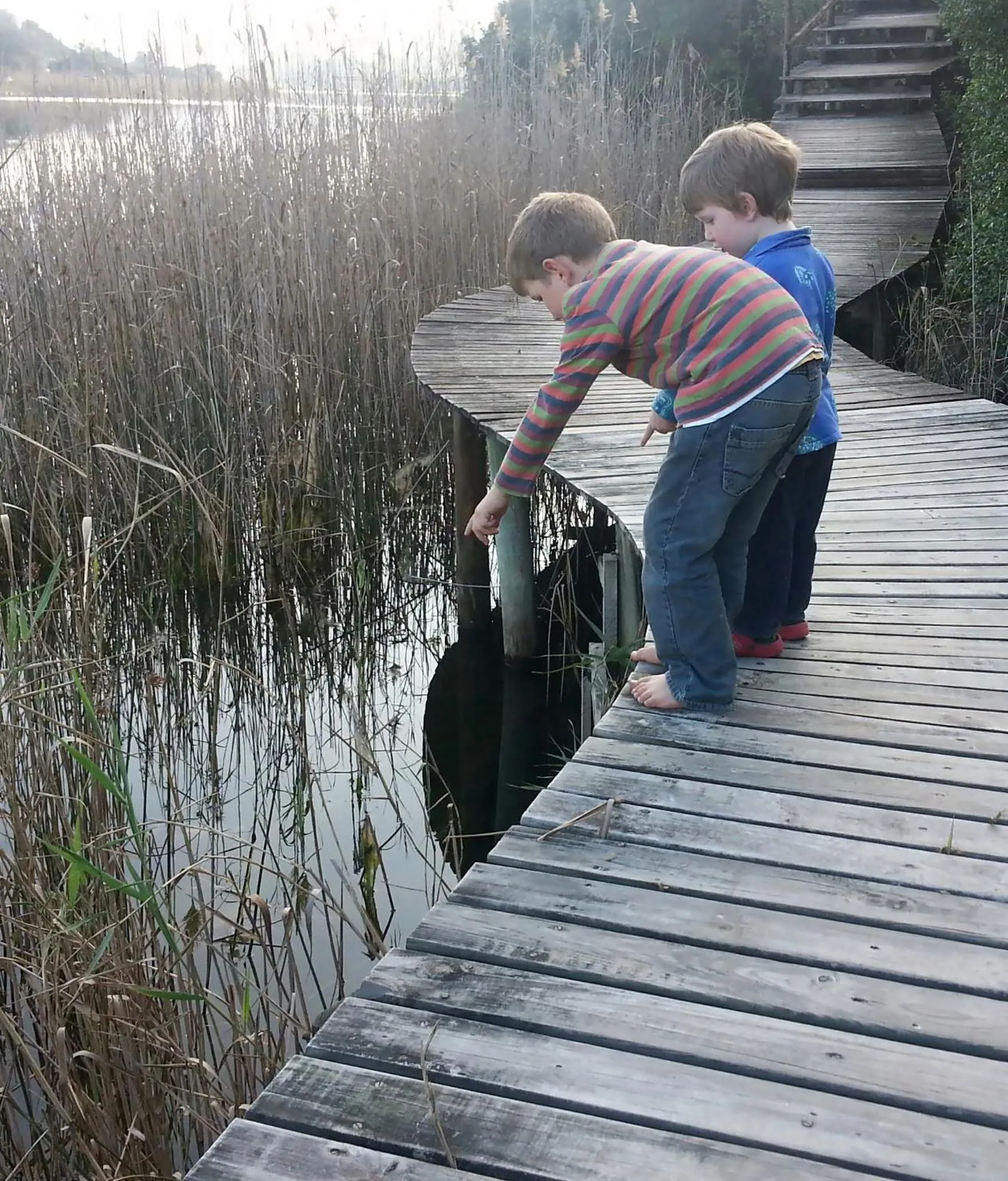 Entertainment in Serendipity Country House & Restaurant