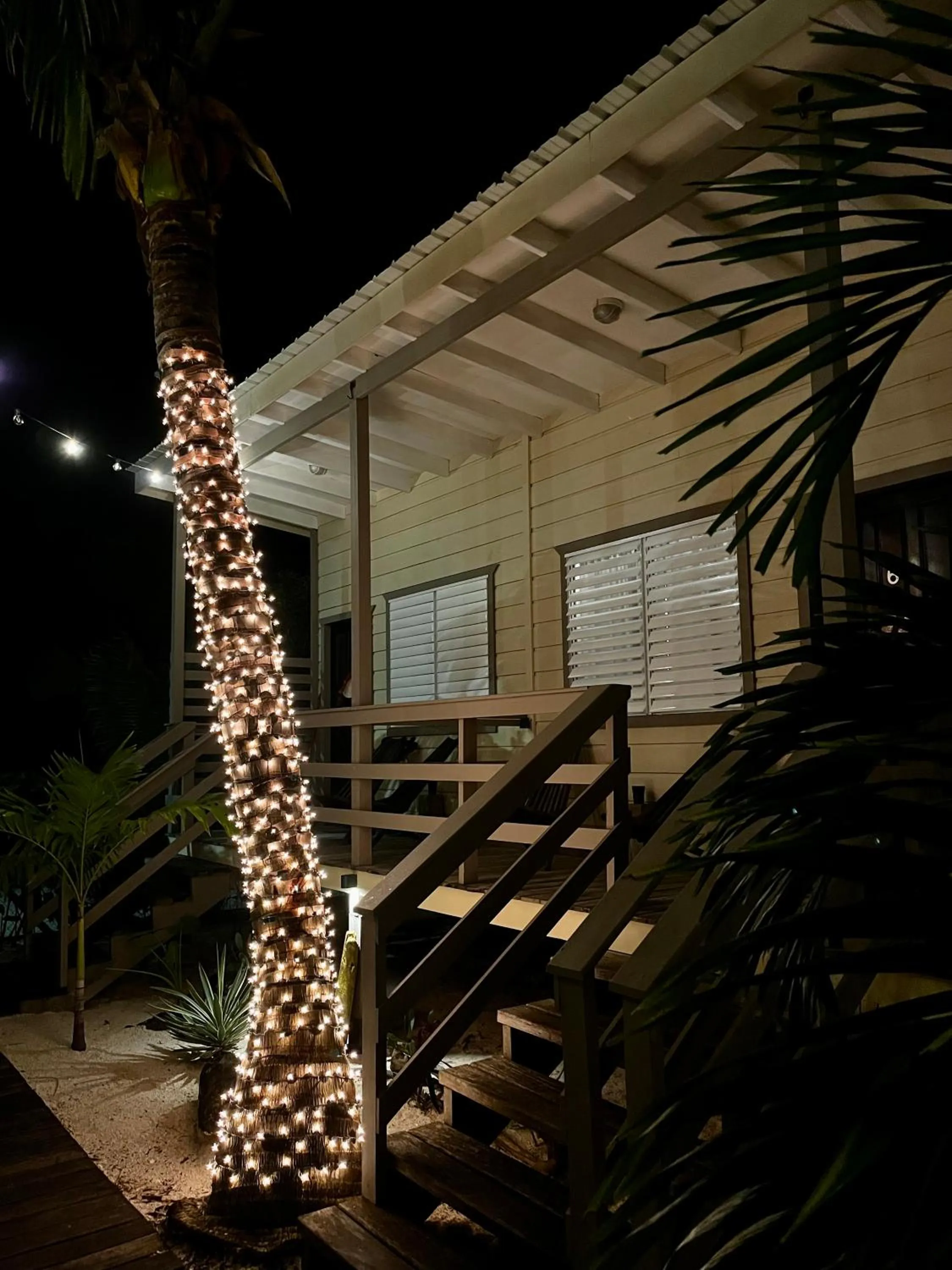 Garden view in DreamCabanas