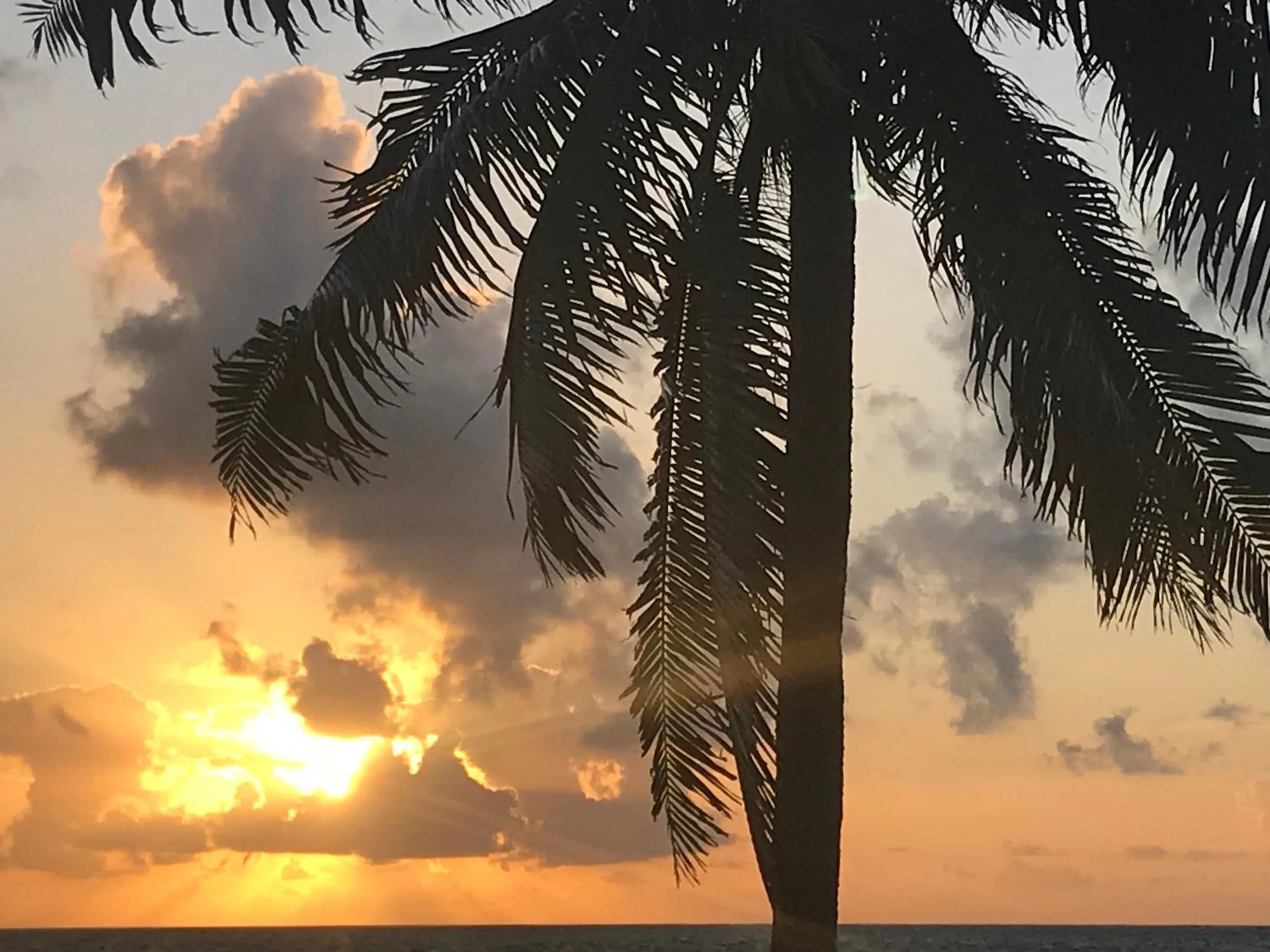 Natural landscape in DreamCabanas