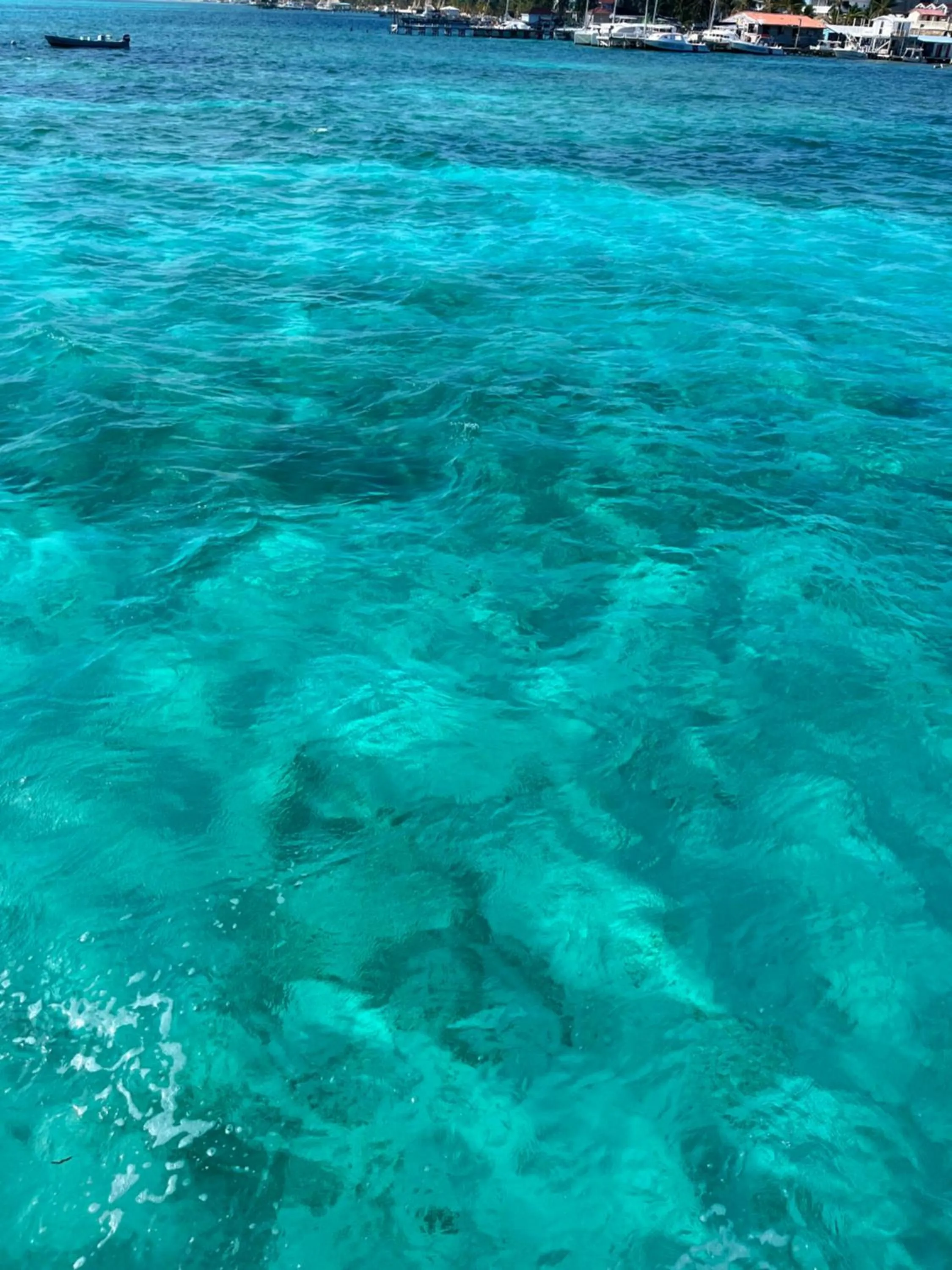 Natural landscape in DreamCabanas