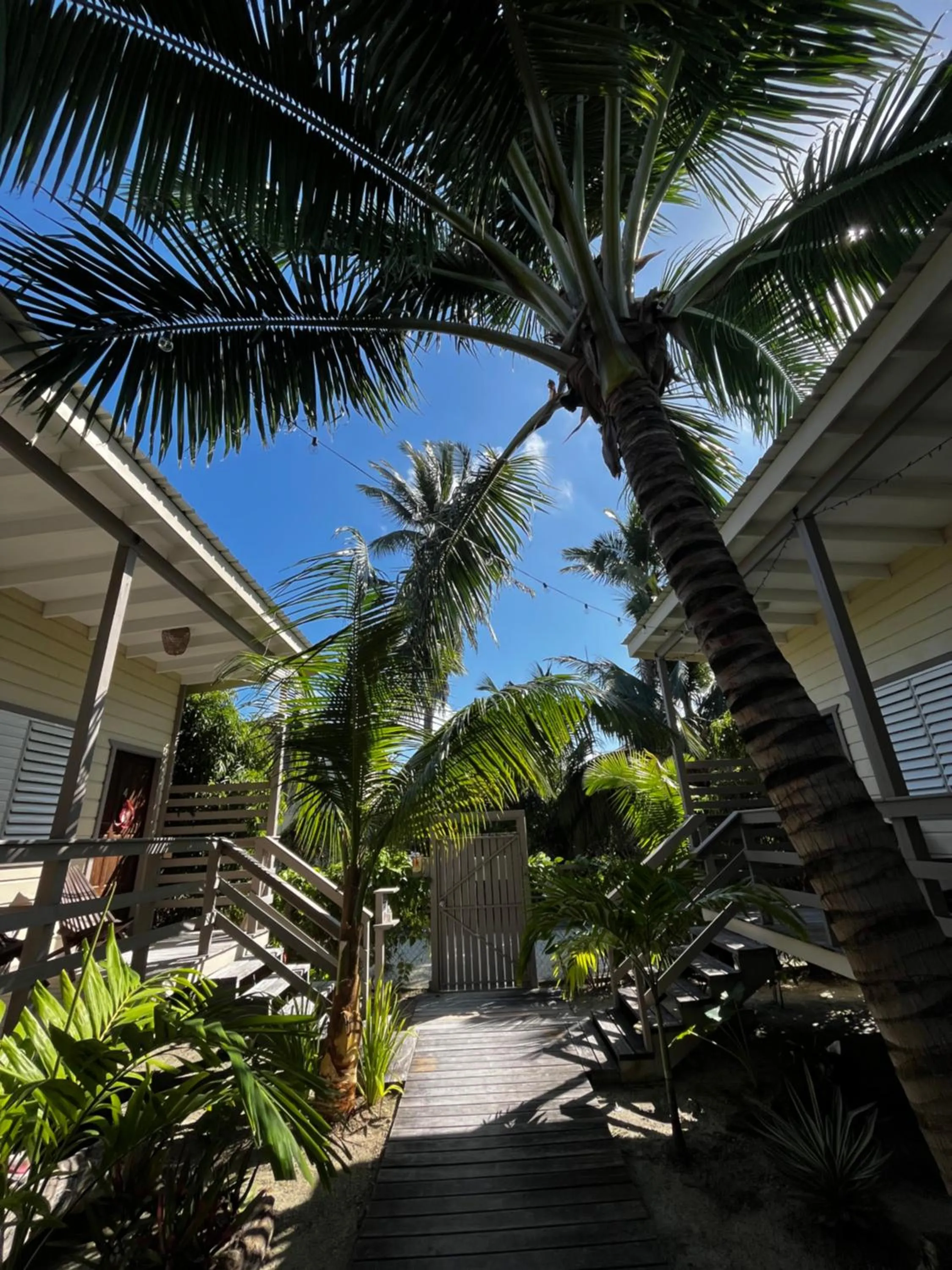 Garden in DreamCabanas