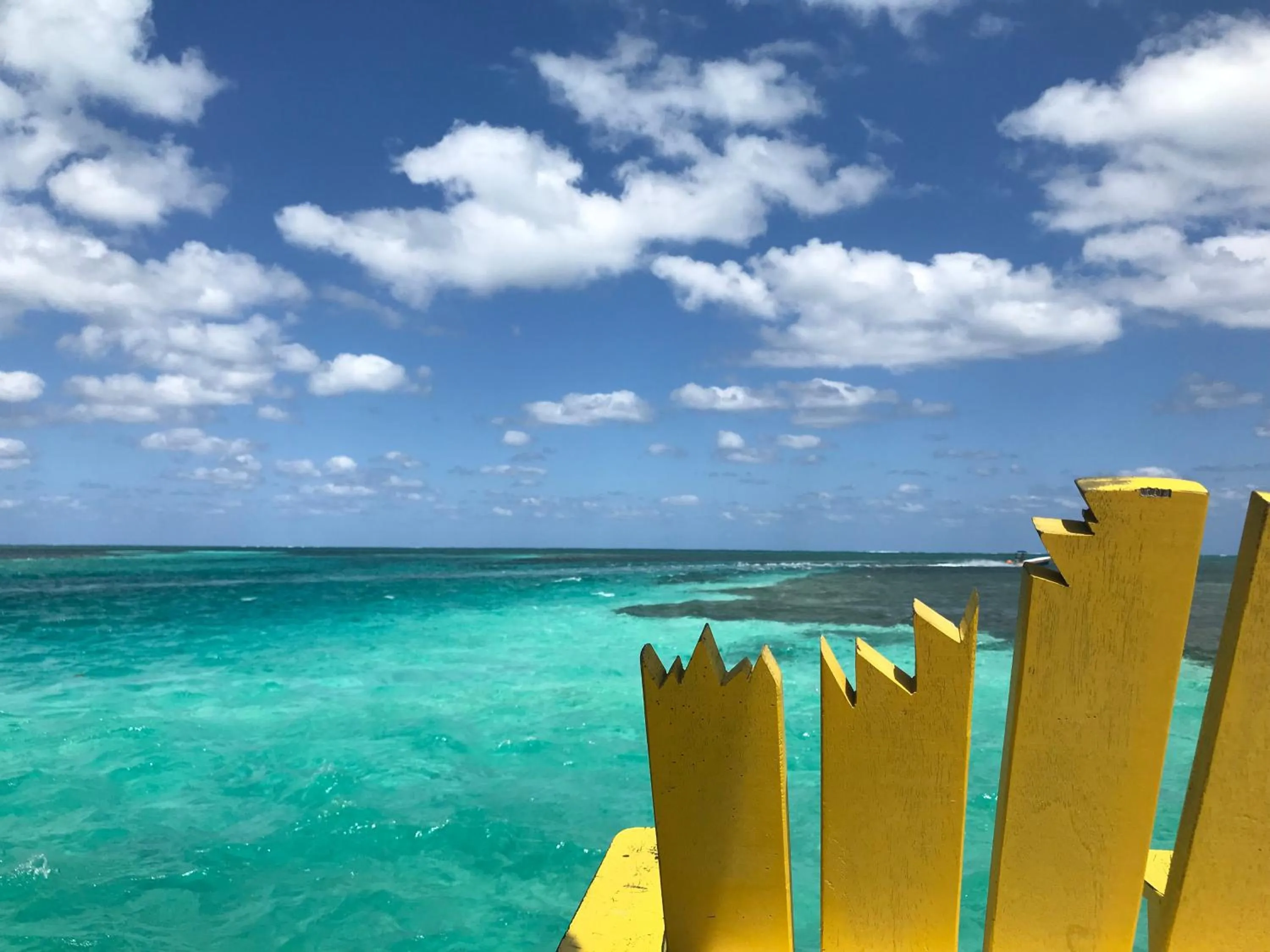 Natural landscape in DreamCabanas